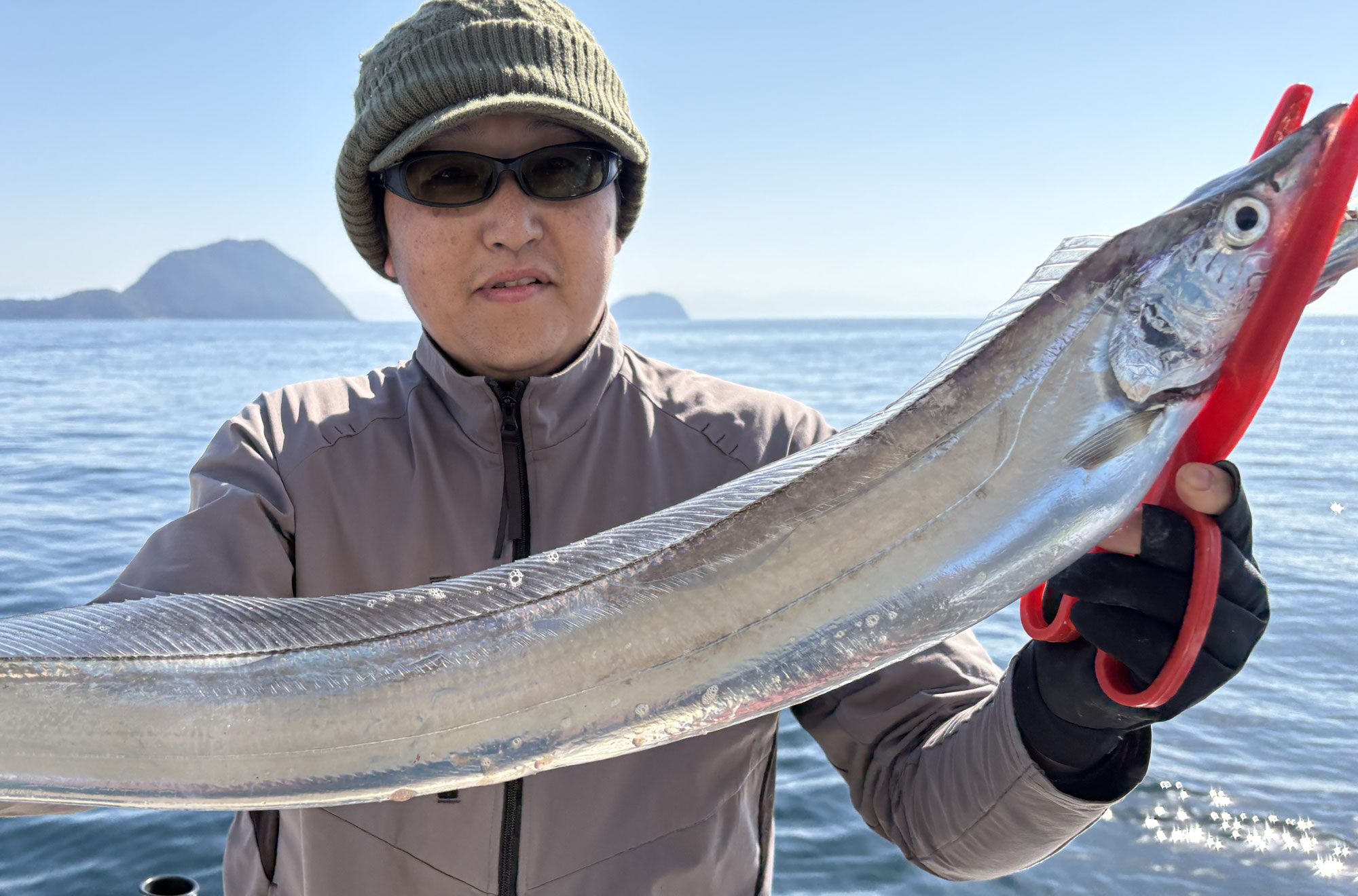 11月15日　タチウオ　釣果