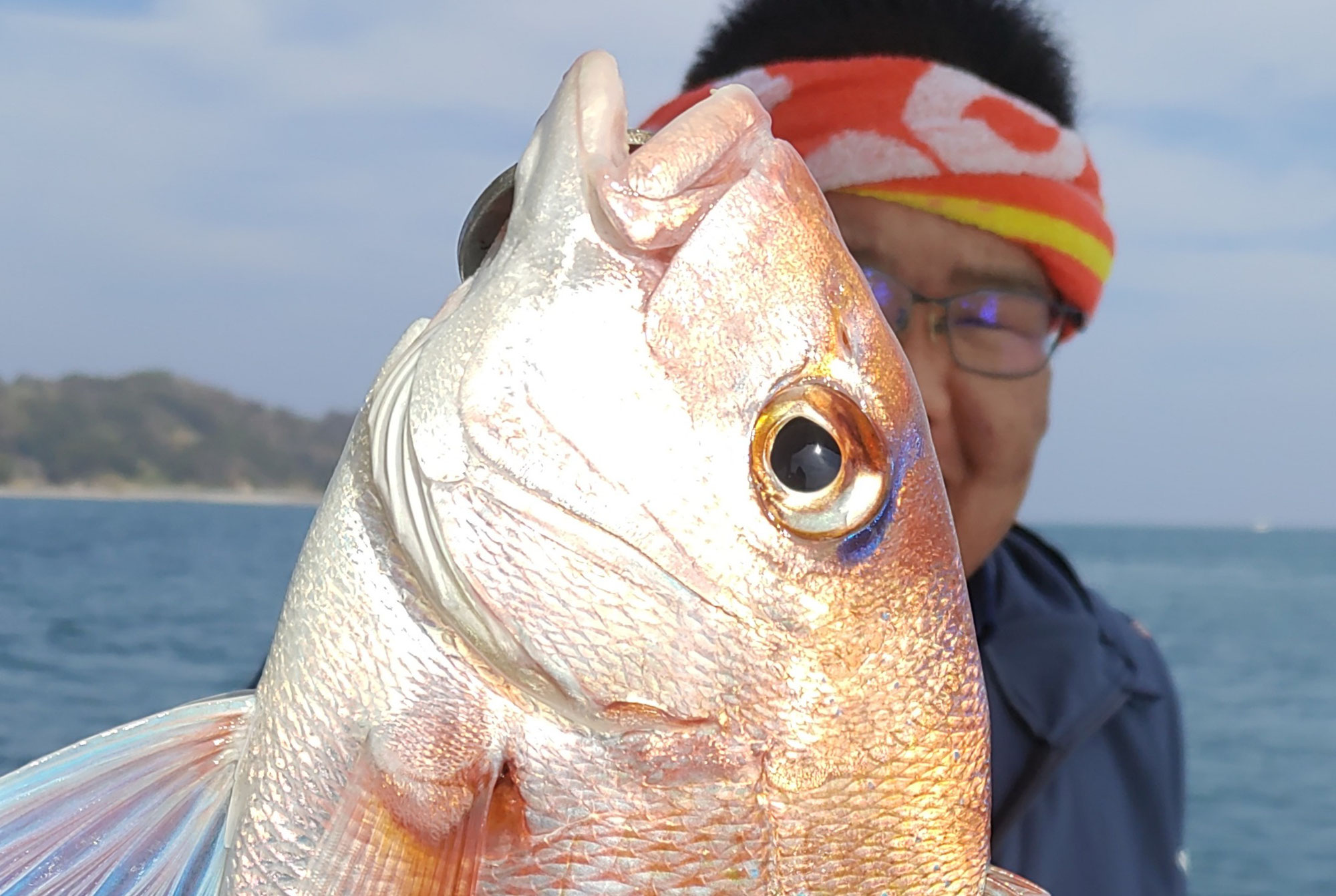 12月30日　鯛＆青物　釣果