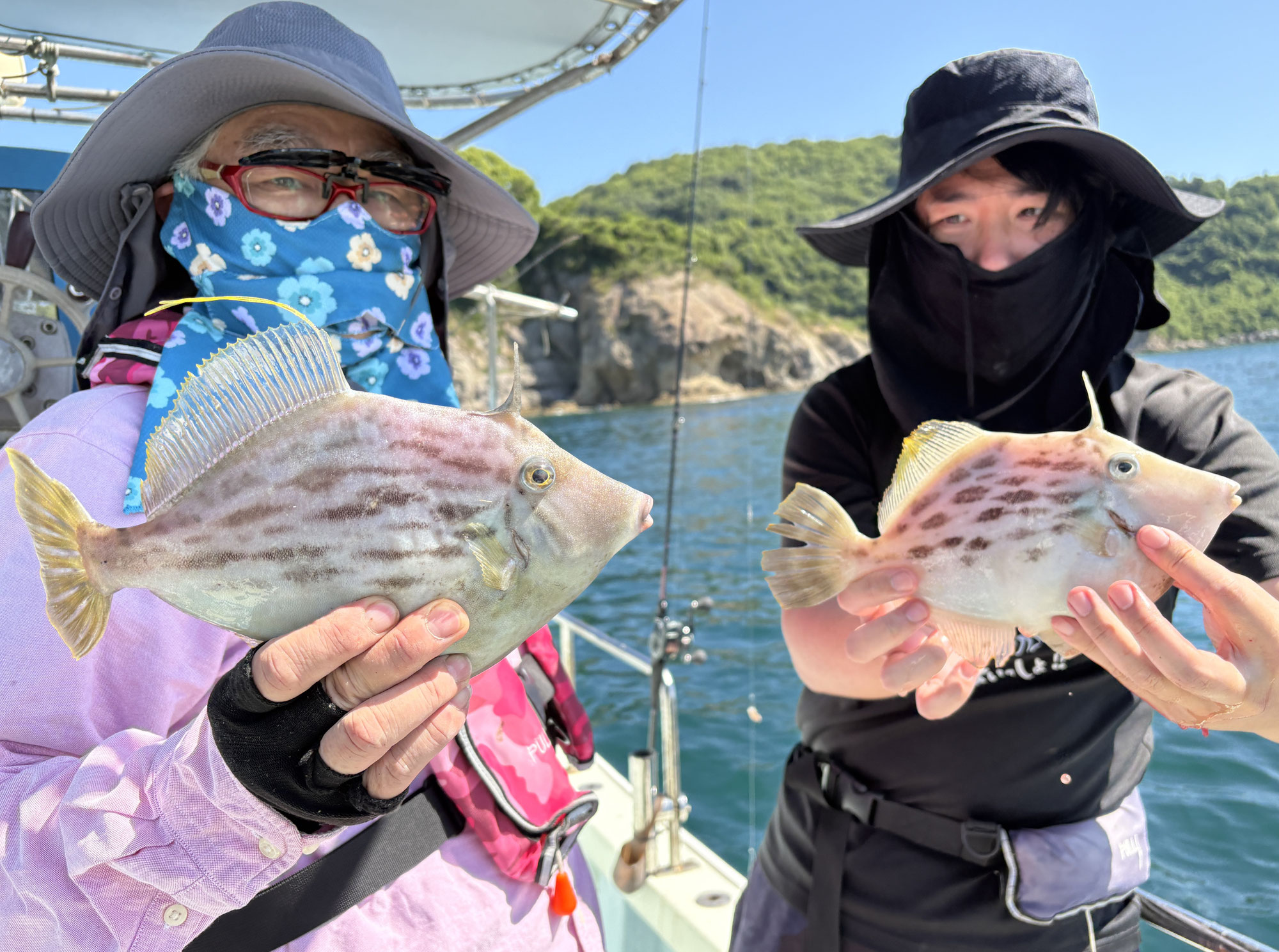 5月30日　カワハギ＆アジ 鯛　釣果