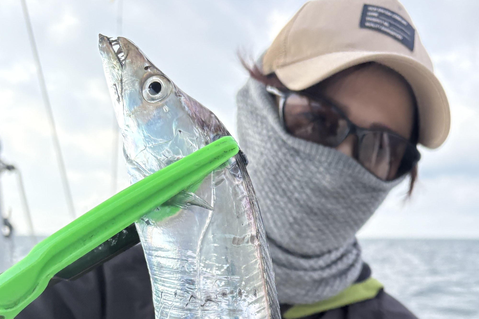 11月23日　タチウオ＆鯛　釣果