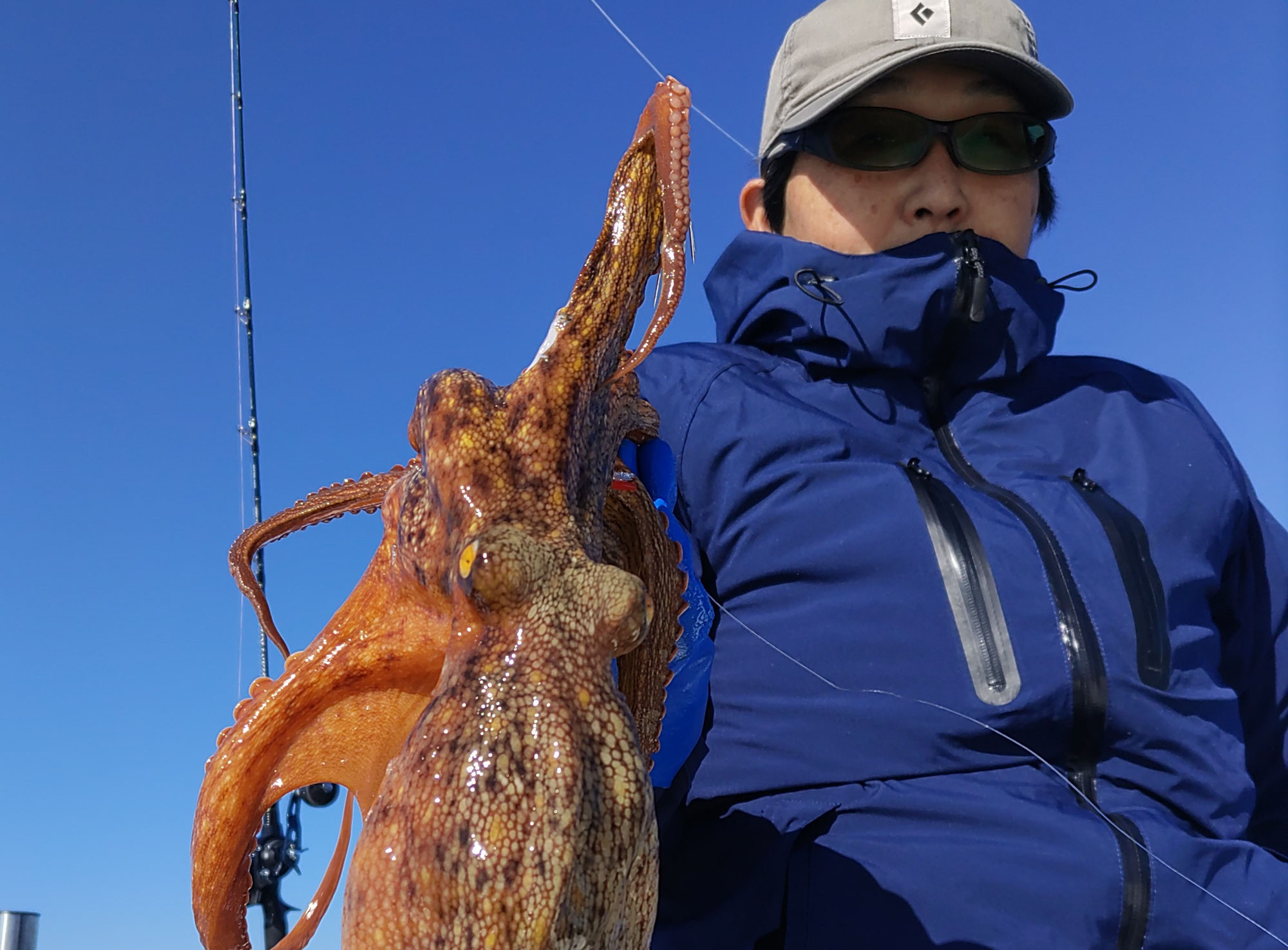 12月8日　タコ＆カワハギ　釣果