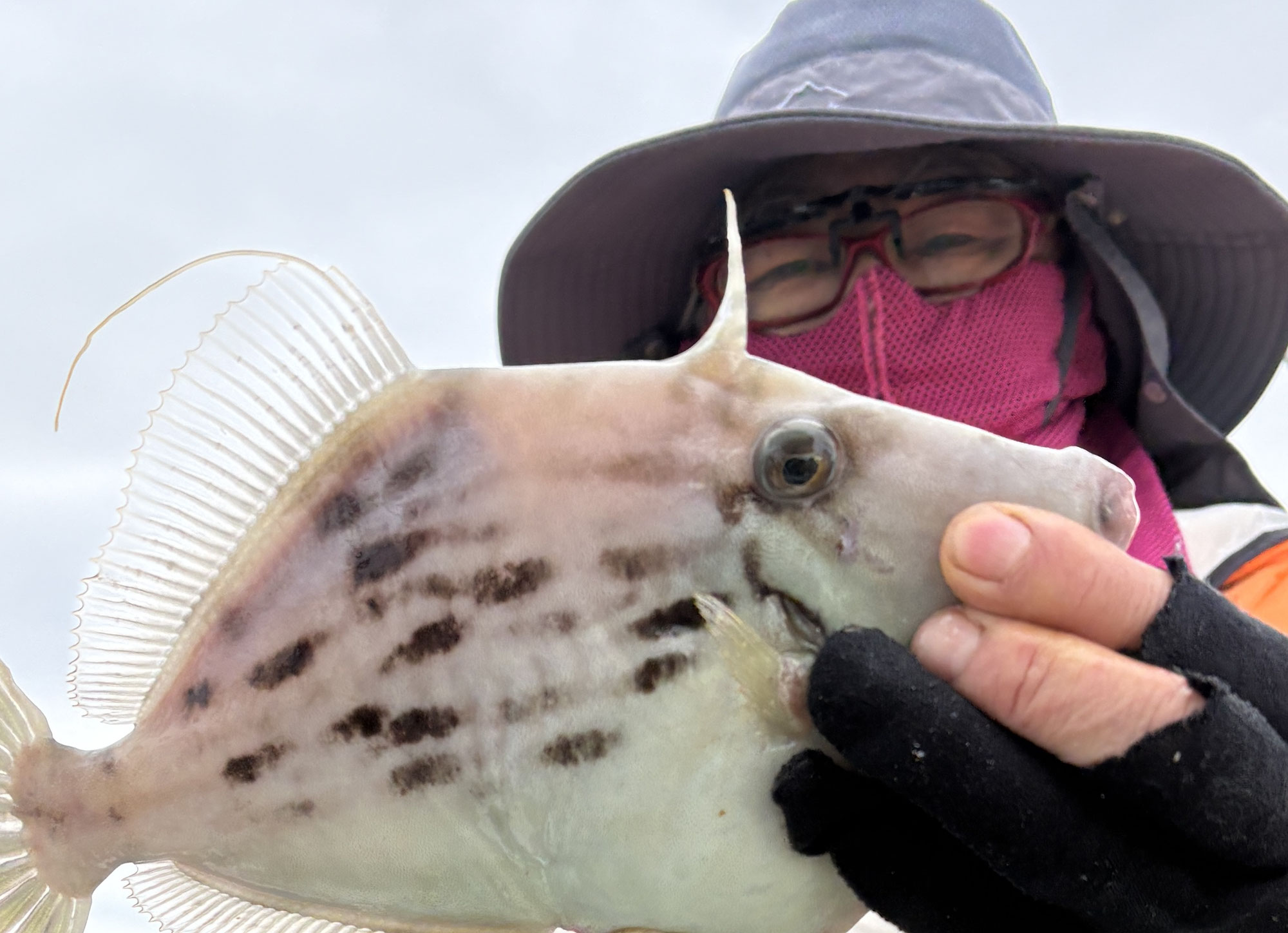 12月13日　カワハギ　釣果