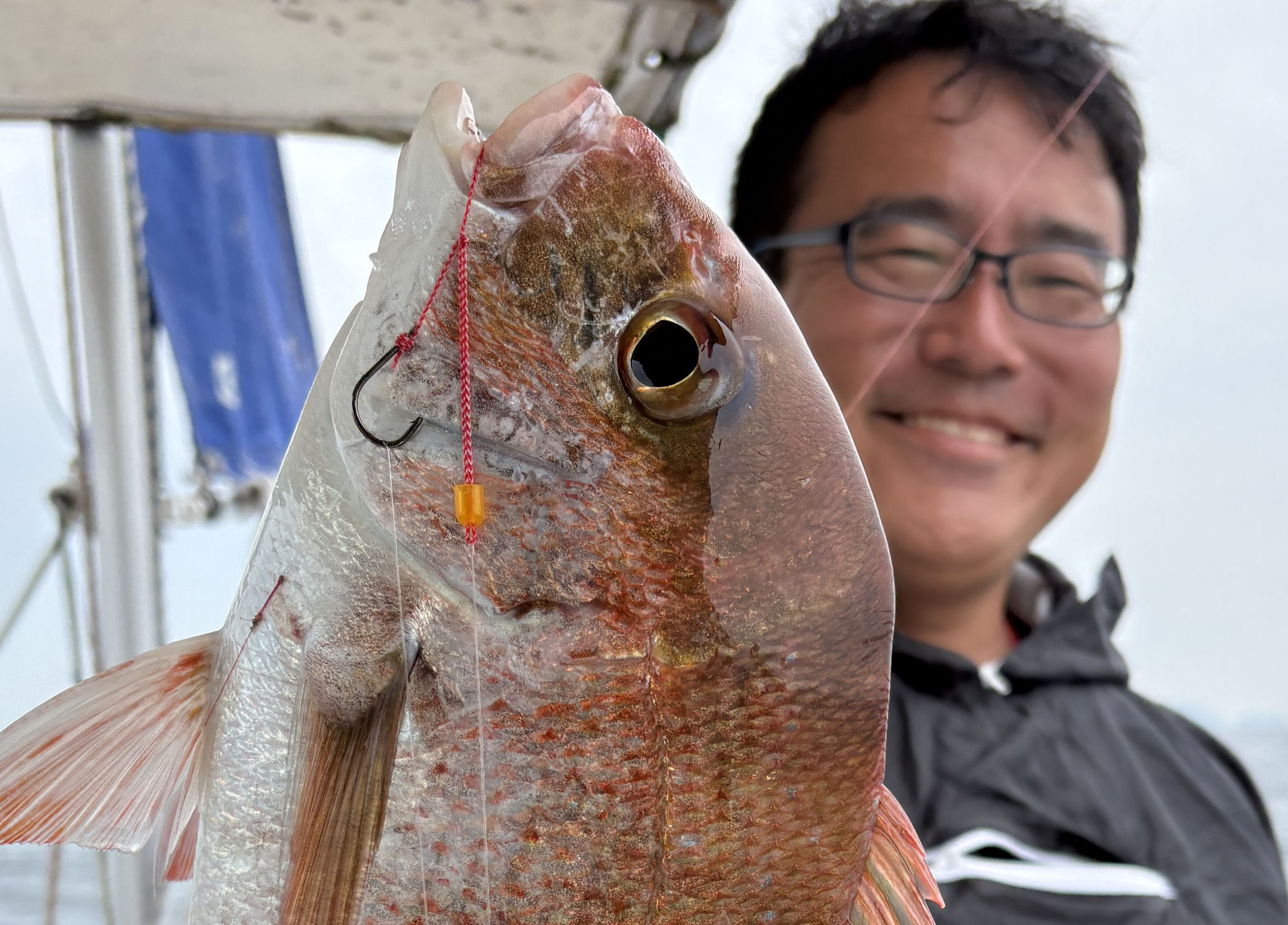 6月15日～16日　釣果