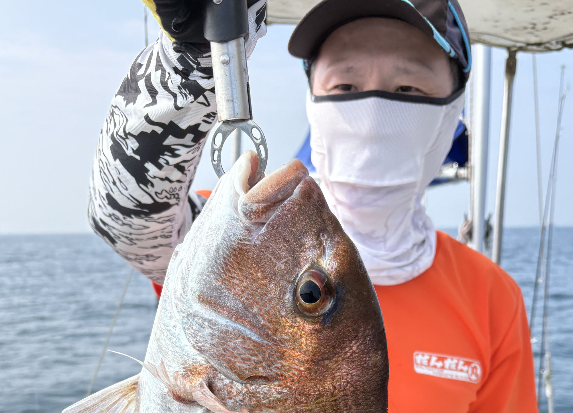 7月10日　鯛＆青物　釣果