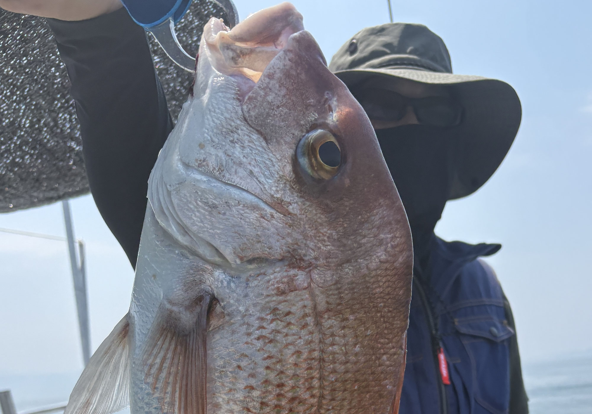 7月18日　釣れるものは何でも　釣果