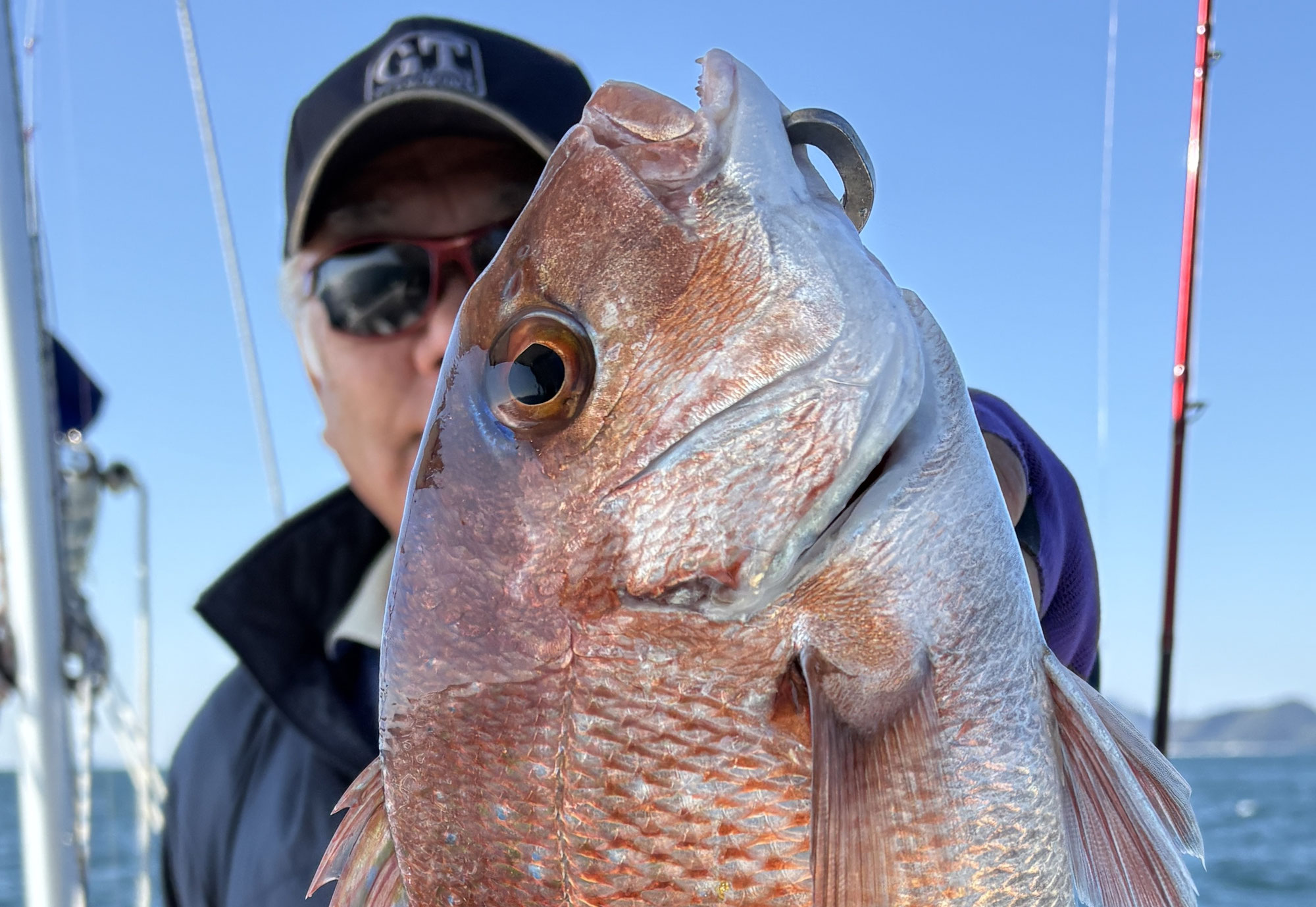 11月6日　タイラバ　釣果