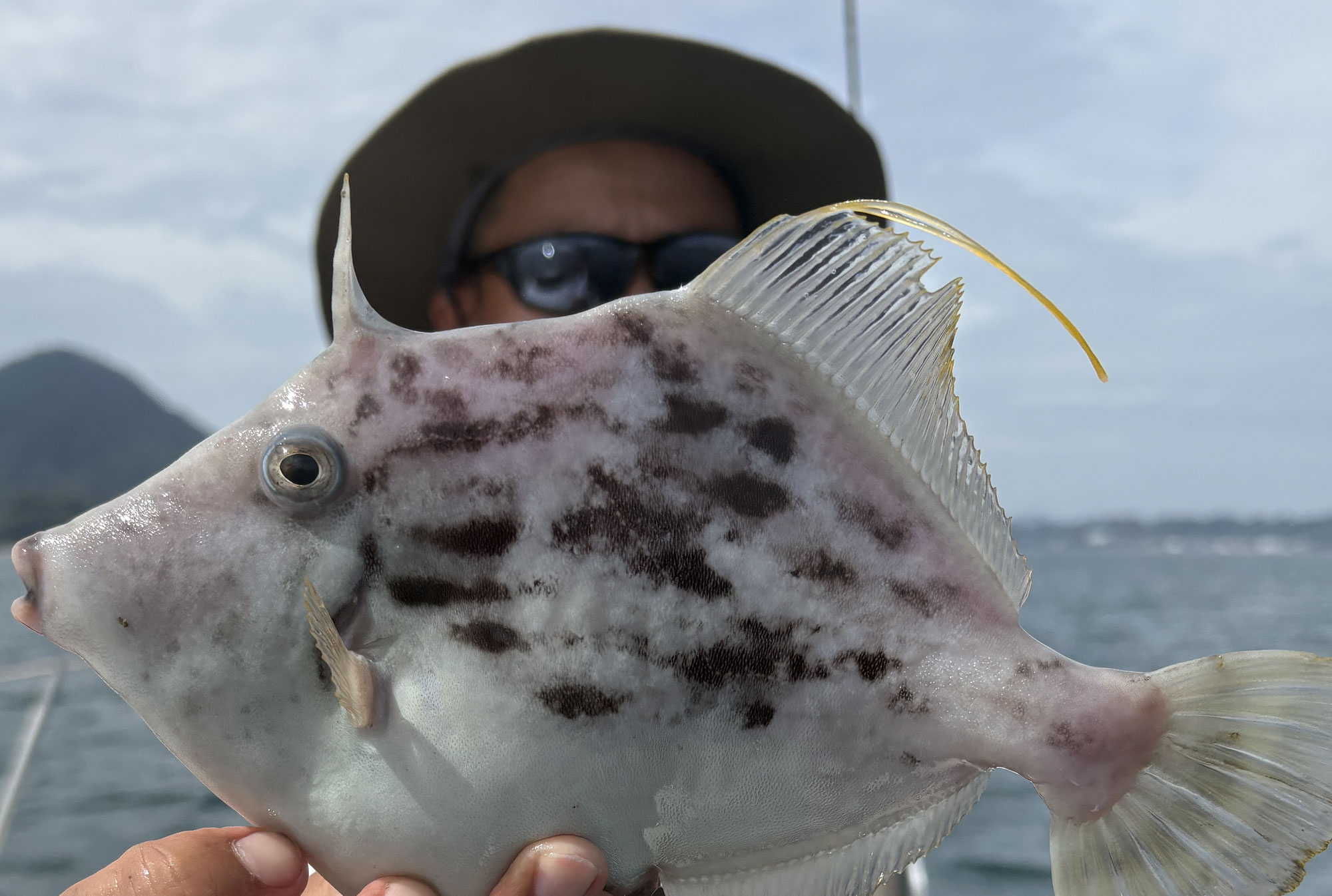 9月24日　カワハギ＆エギング　釣果