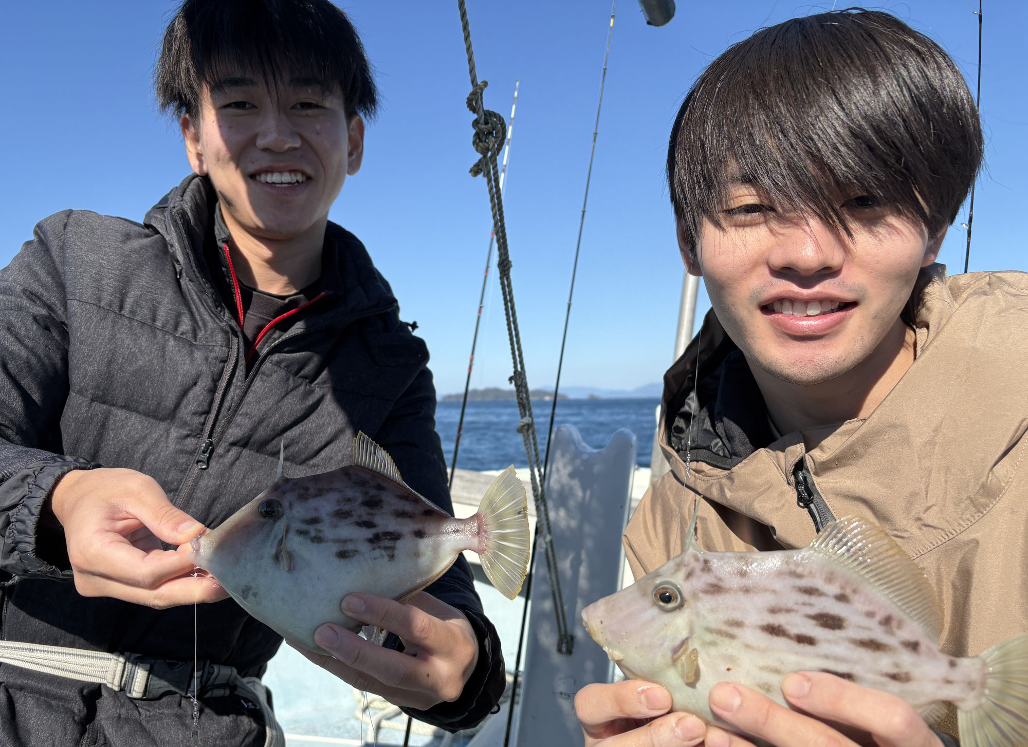 11月22日　カワハギ＆鯛　釣果