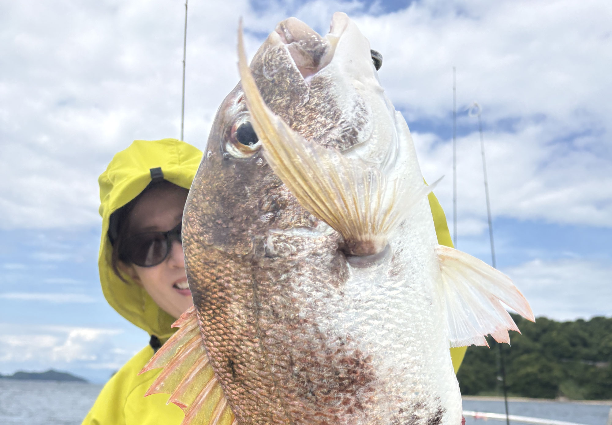 5月24日　アジ＆鯛　釣果