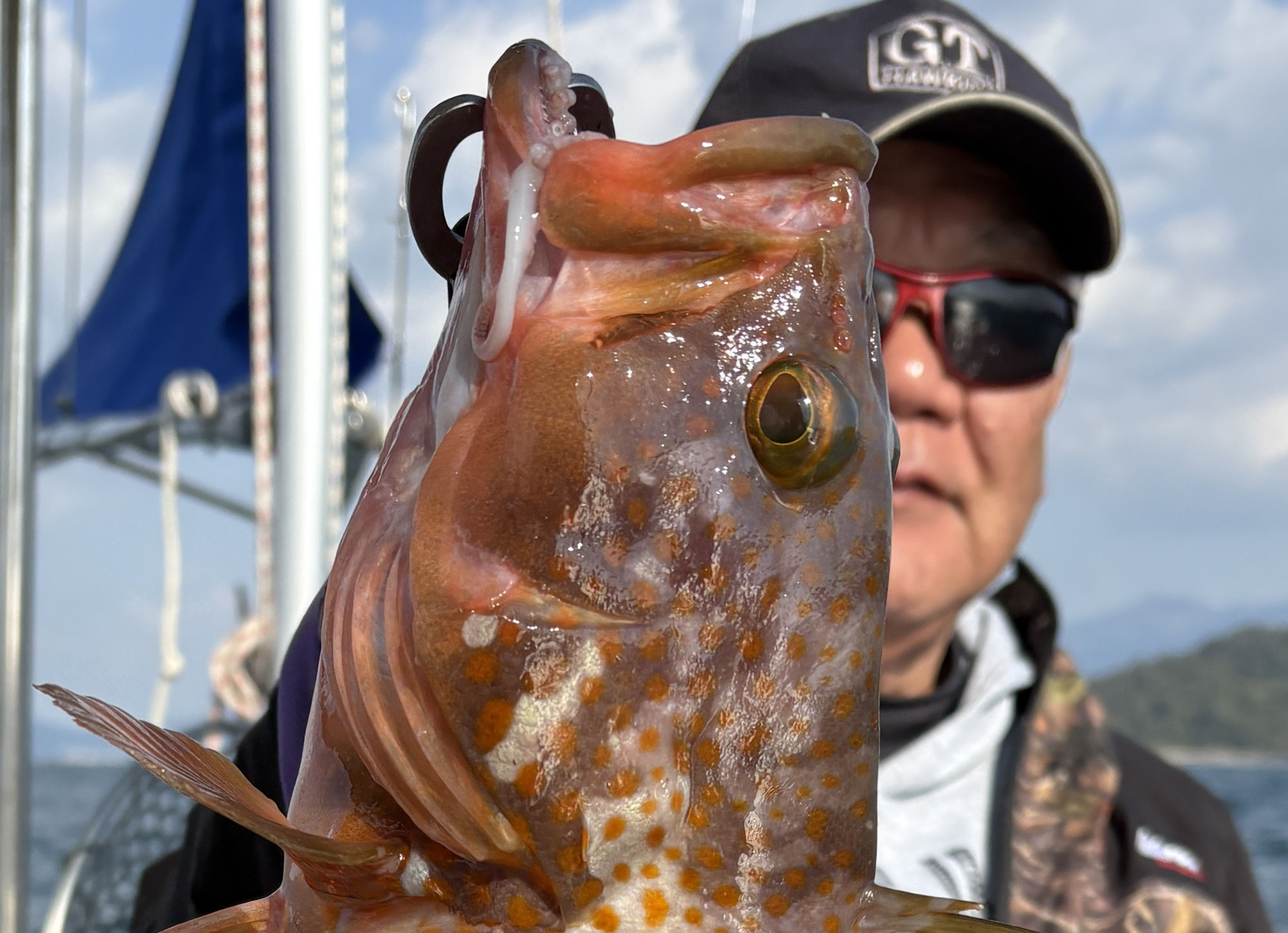 11月19日 21日　釣果