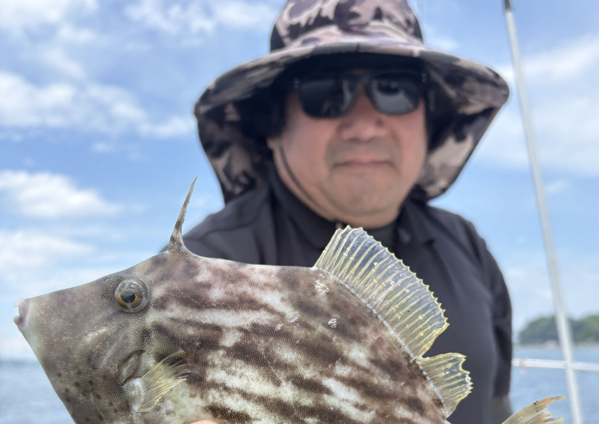6月6日　カワハギ＆タコ　釣果