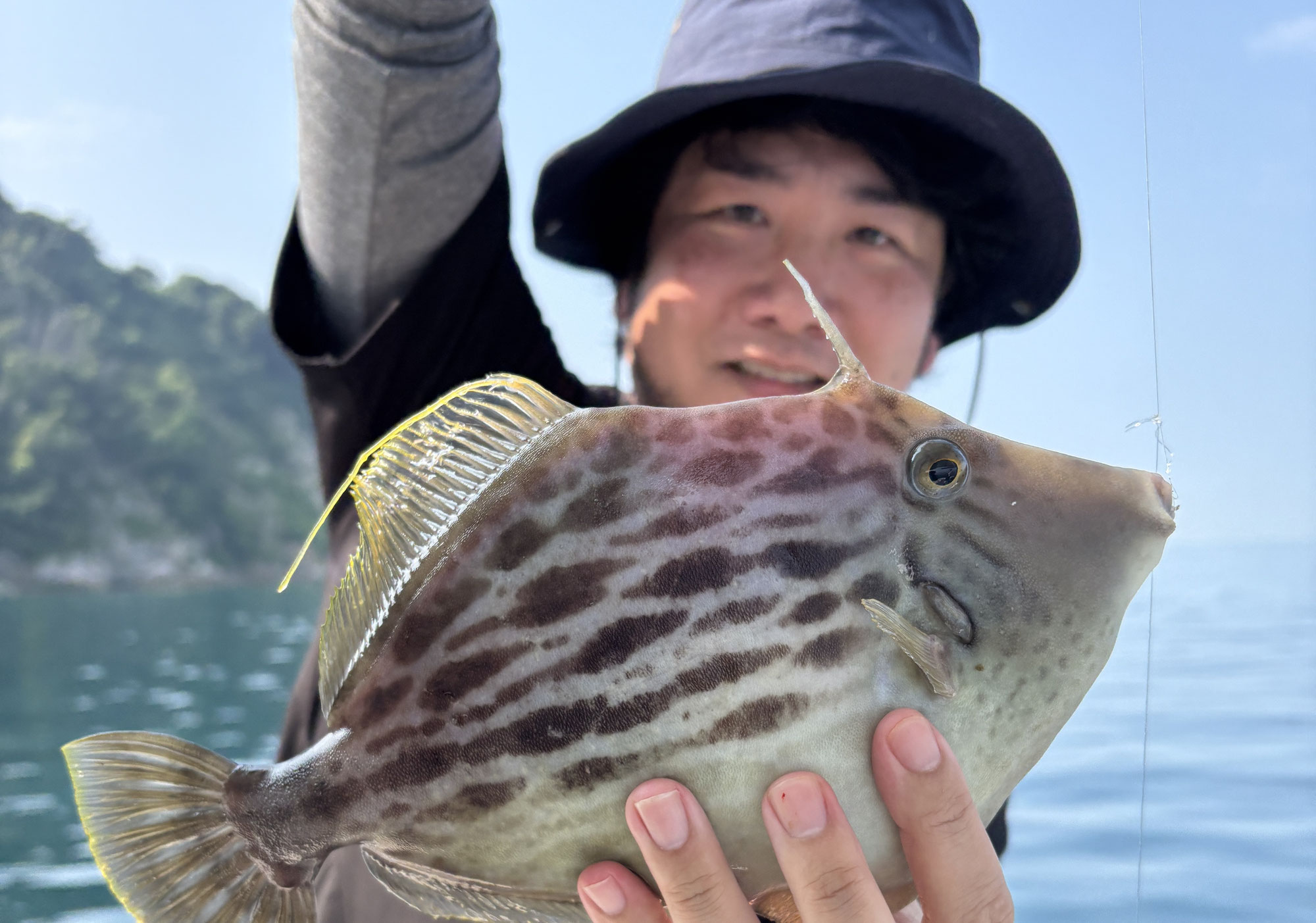 7月９日　ハギ鯛アジ＆青物　釣果