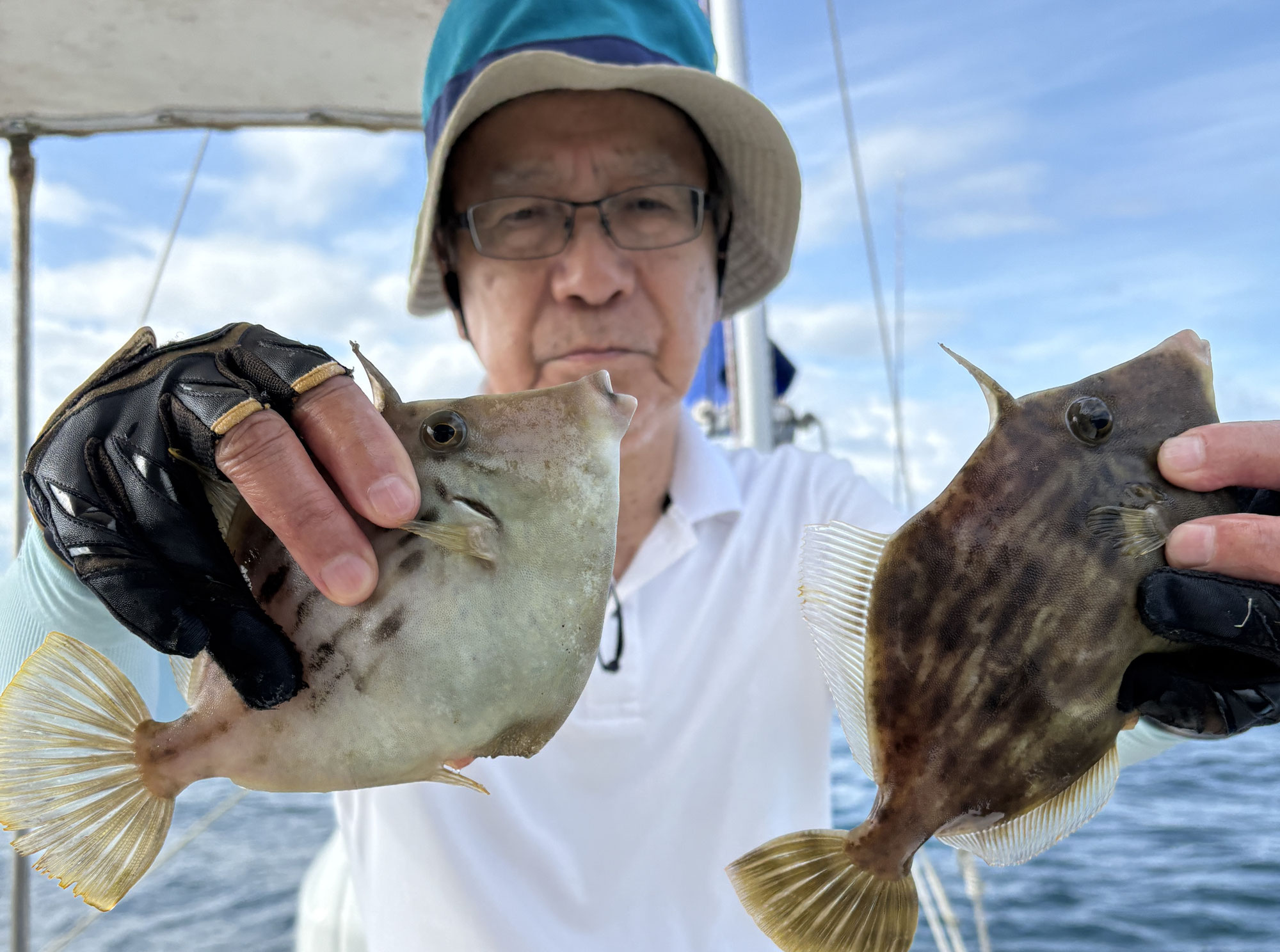 6月25日　カワハギ　釣果