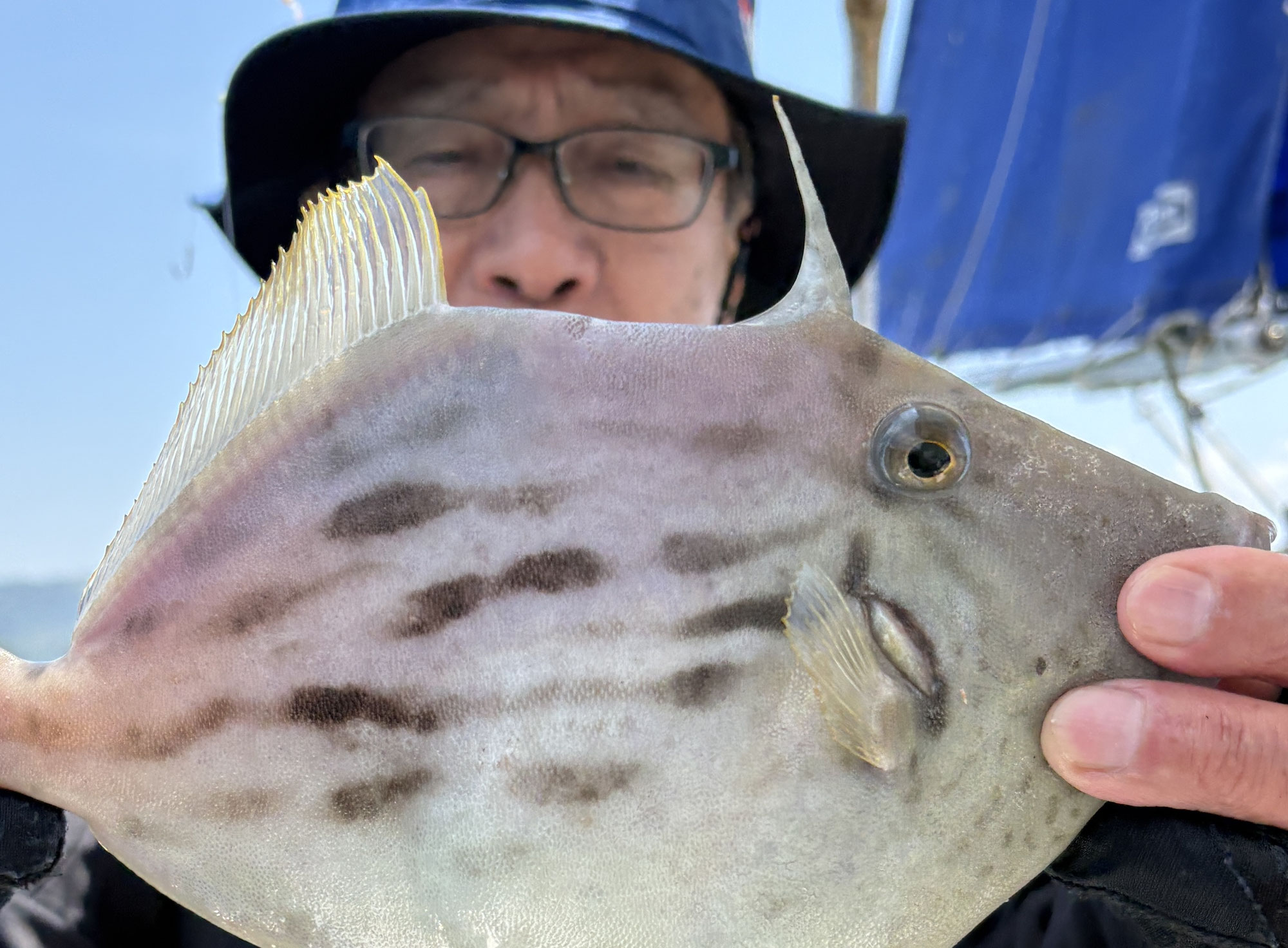 6月10日　タコ アジ＆カワハギ　釣果