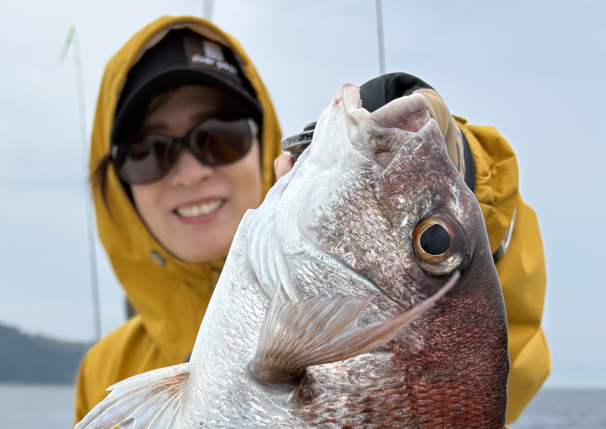 6月8日　鯛＆アジ　釣果