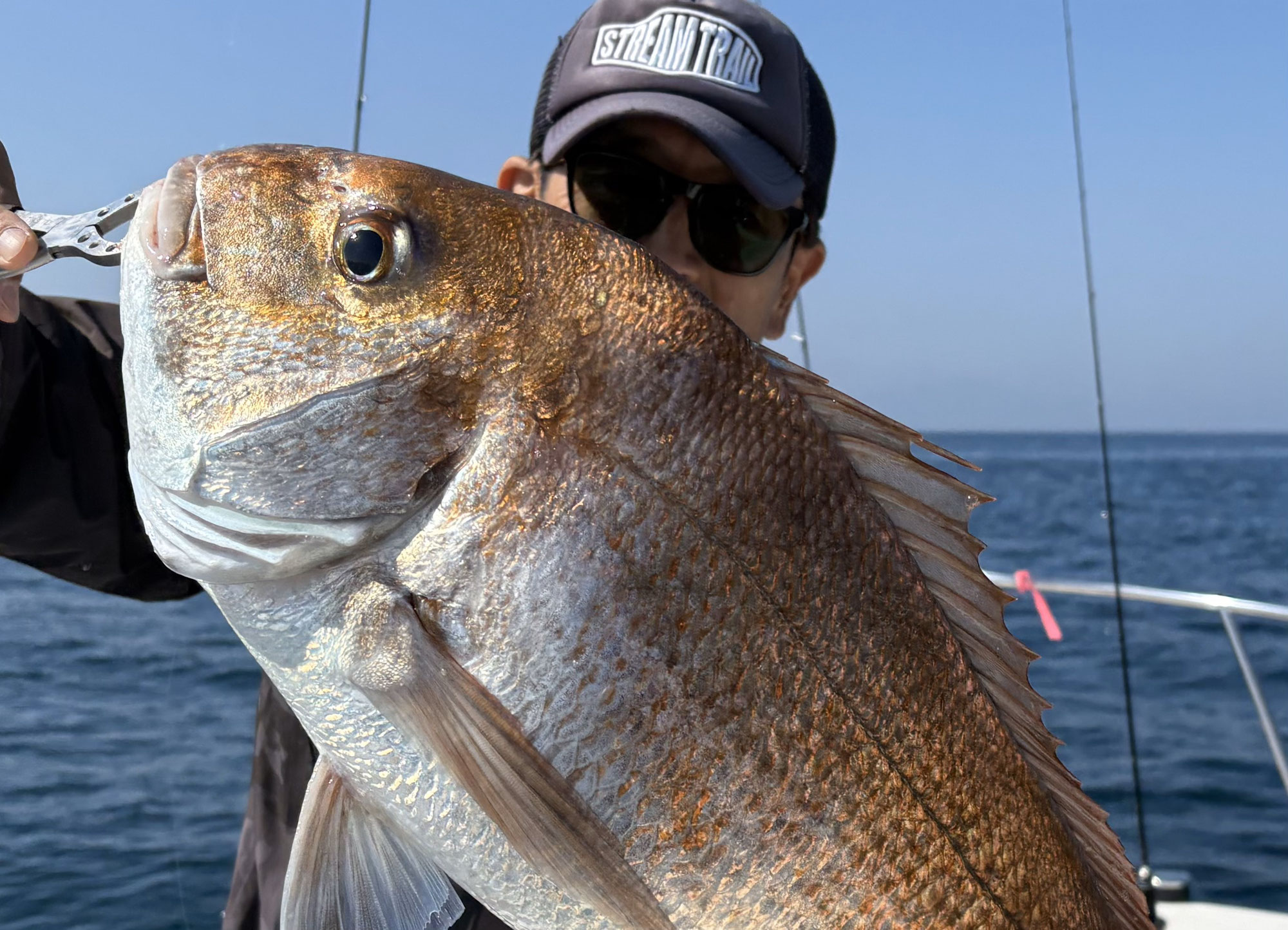 6月5日　タイラバ　釣果