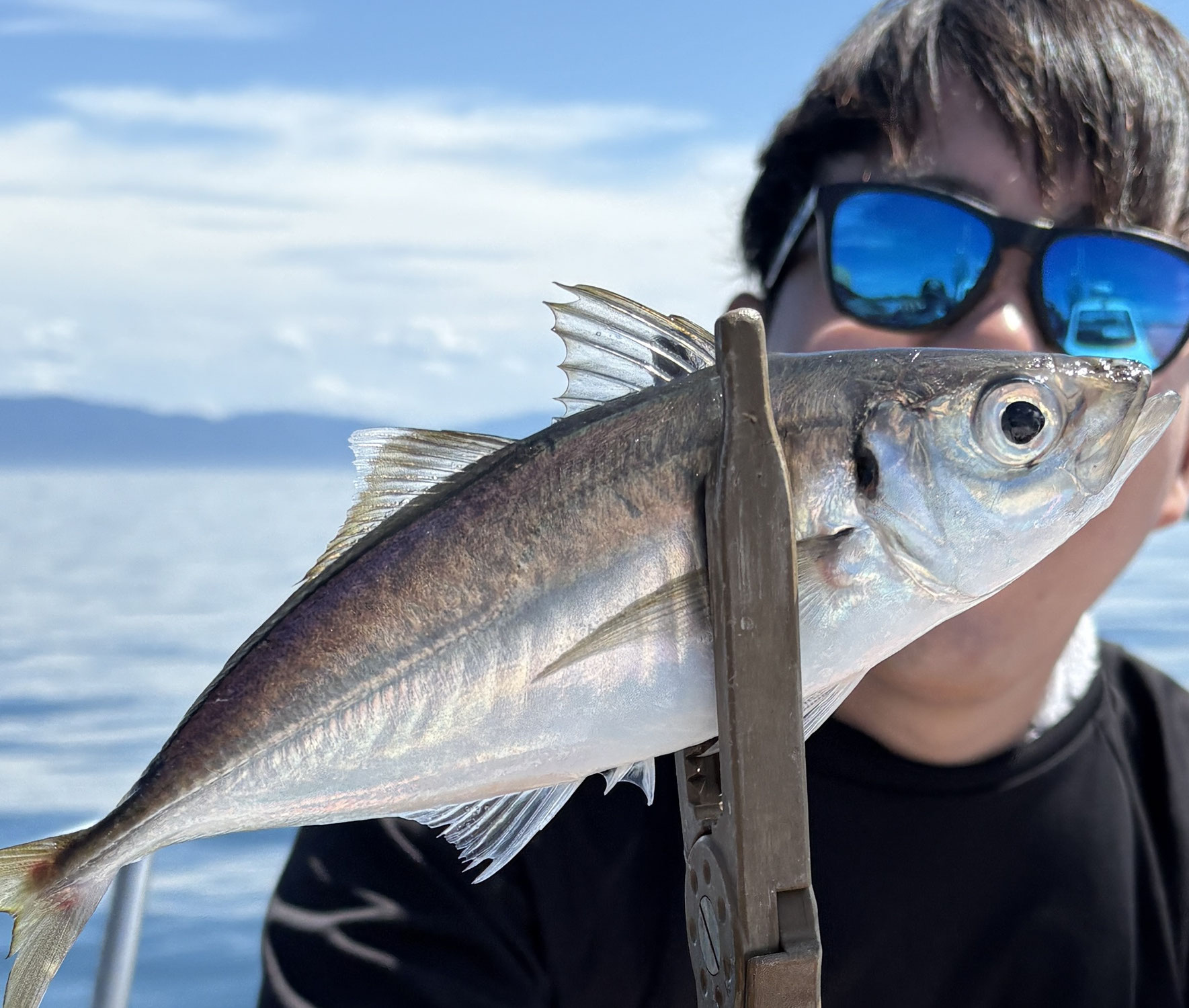 6月13日 15日　釣果