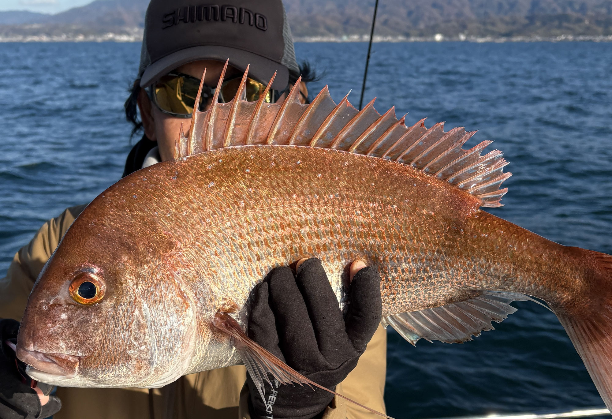 12月18日　タイラバ　釣果