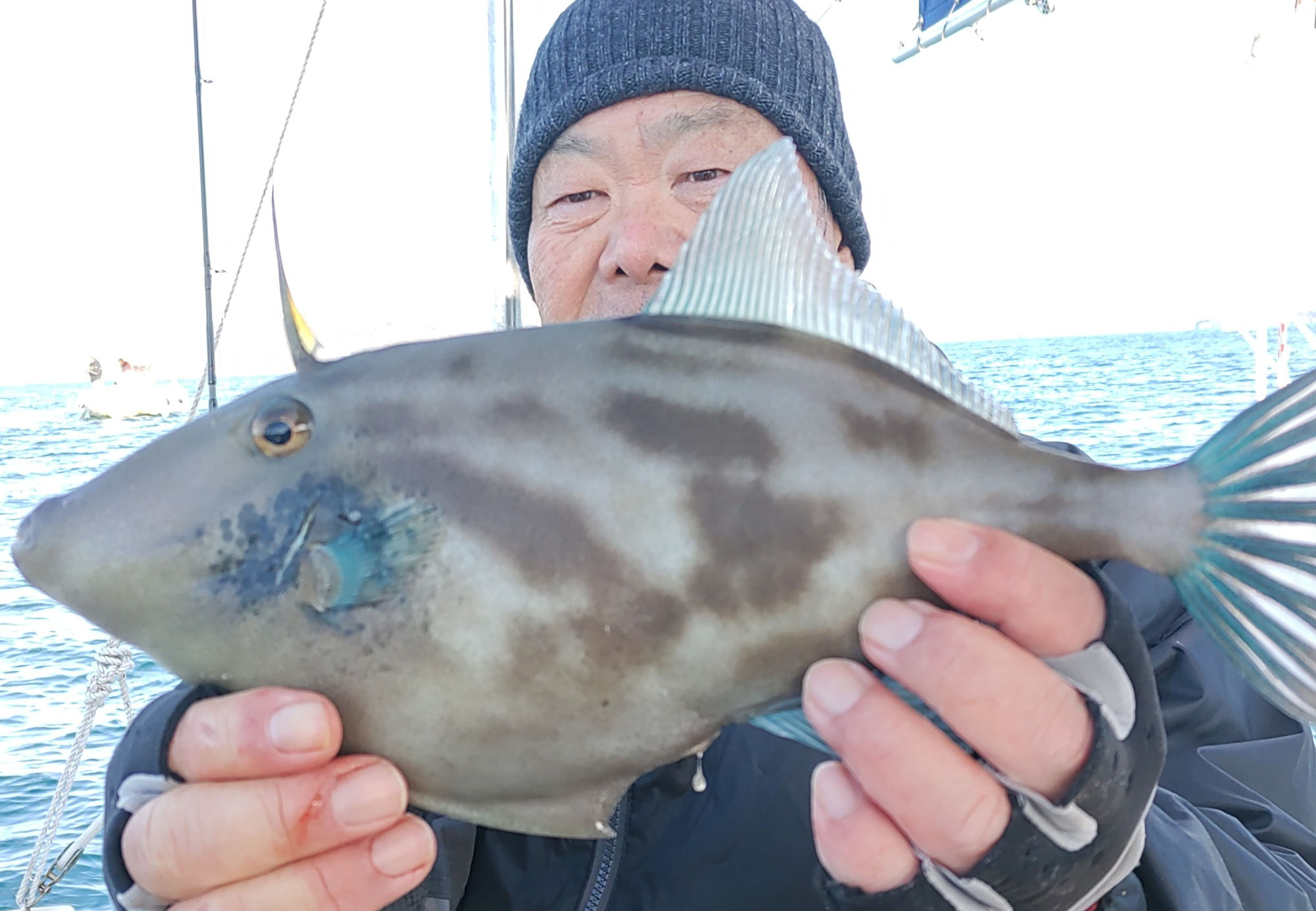 12月24日　ウマヅラ、丸ハギ＆鯛　釣果