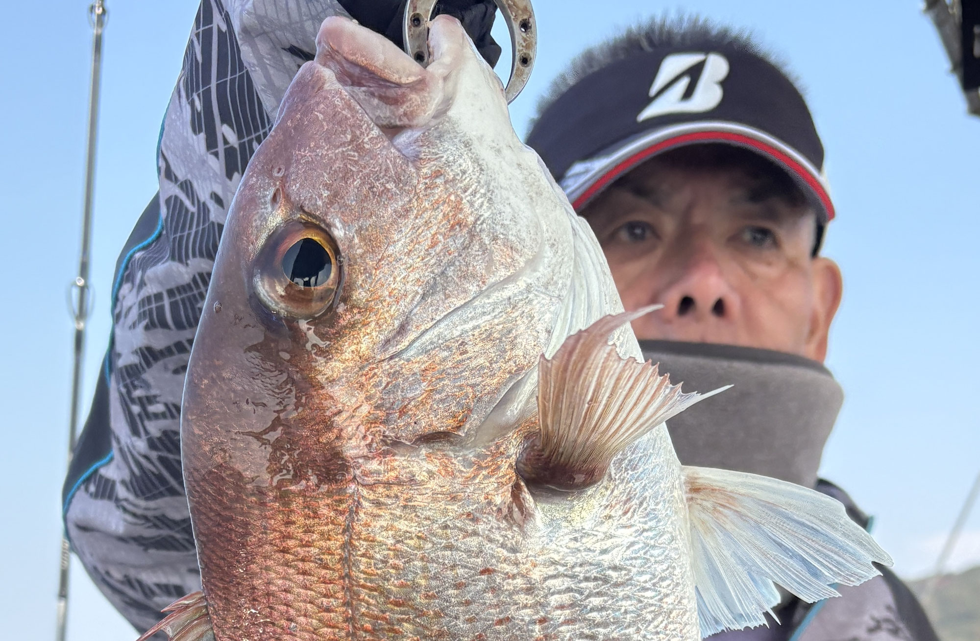 11月26日　タイラバ　釣果