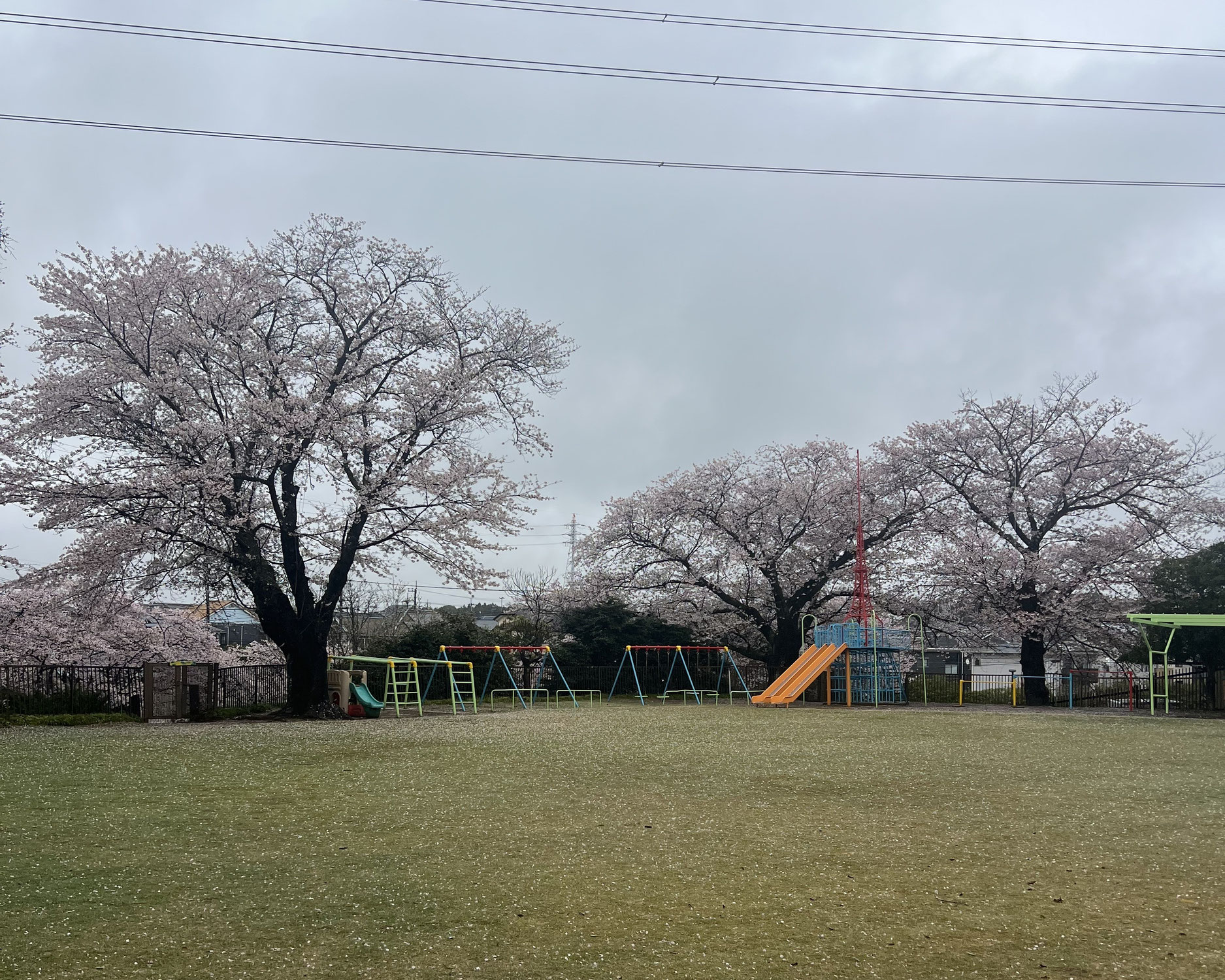 本年度もよろしくお願いします