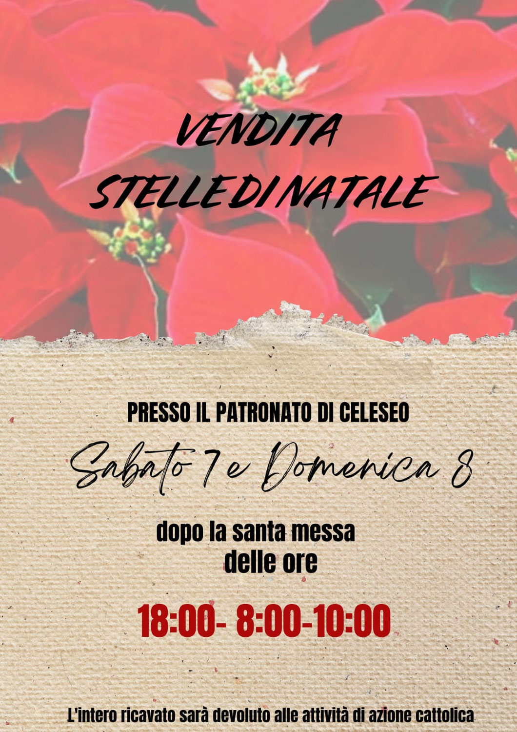 VENDITA STELLE DI NATALE 2024