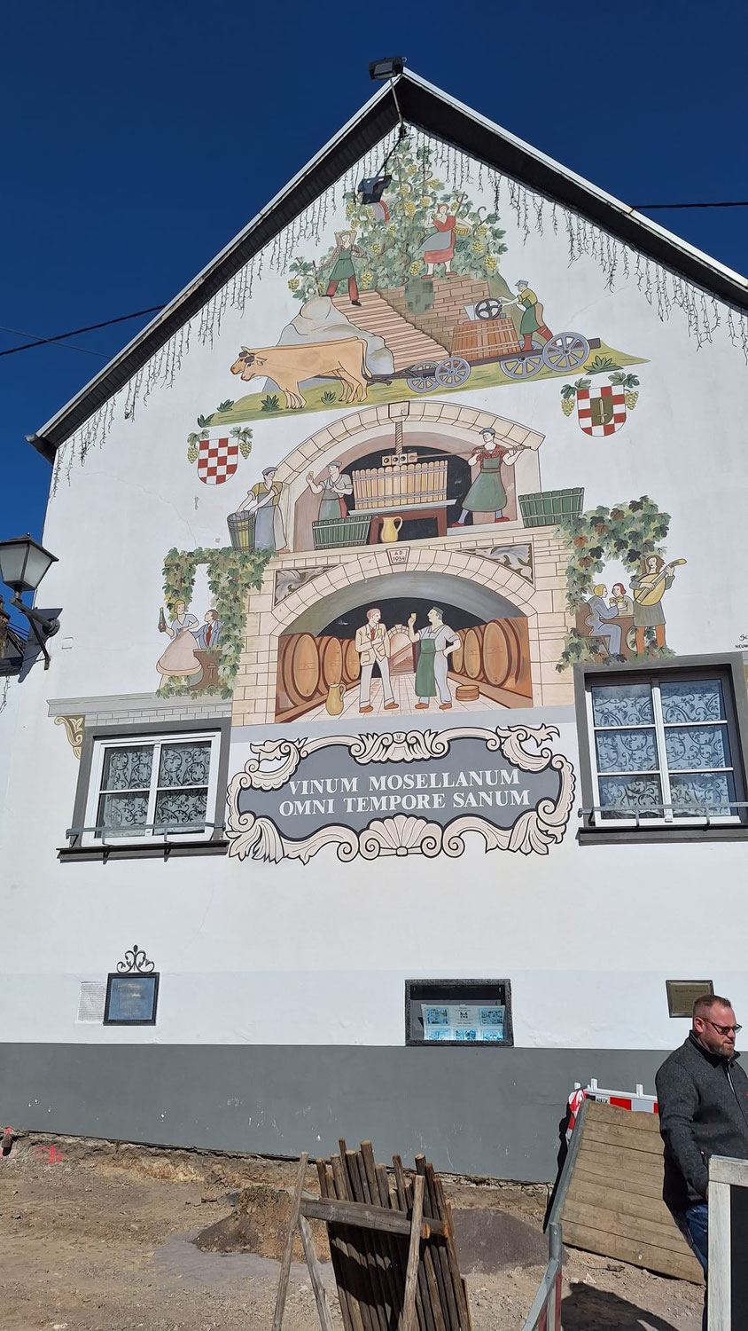 Vinery Tours - Mosel river (with the steepest vineyards in the world)