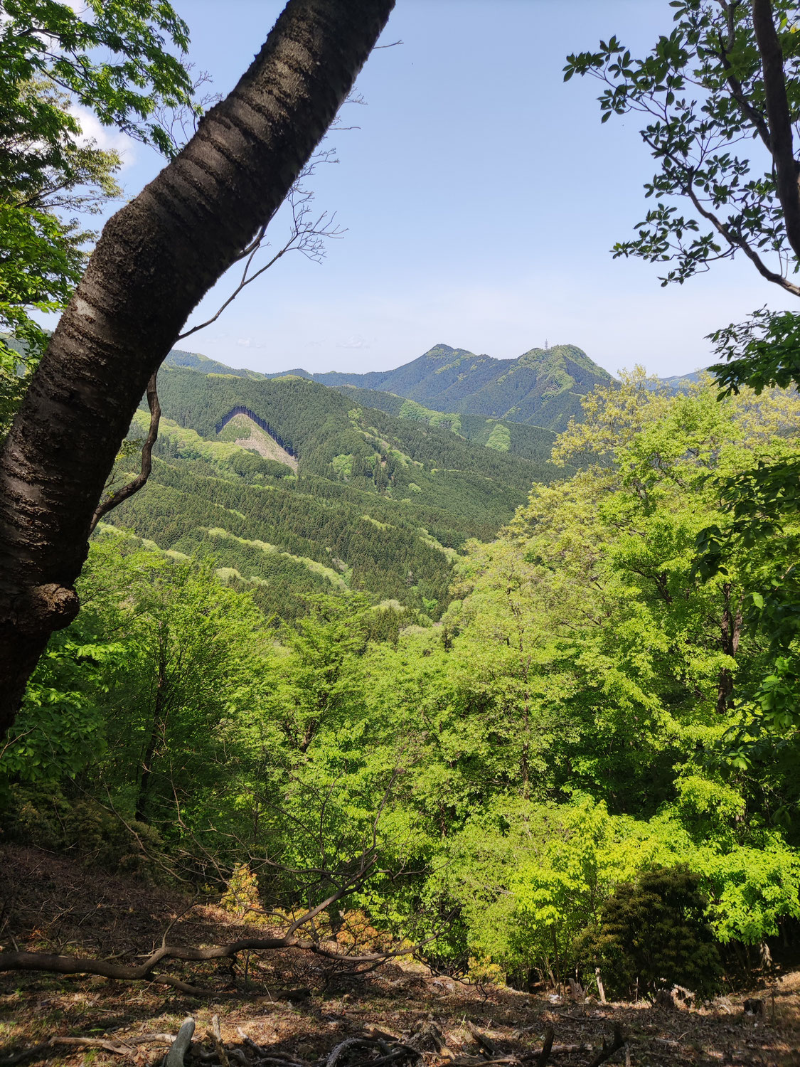 登山日記Ⅱ
