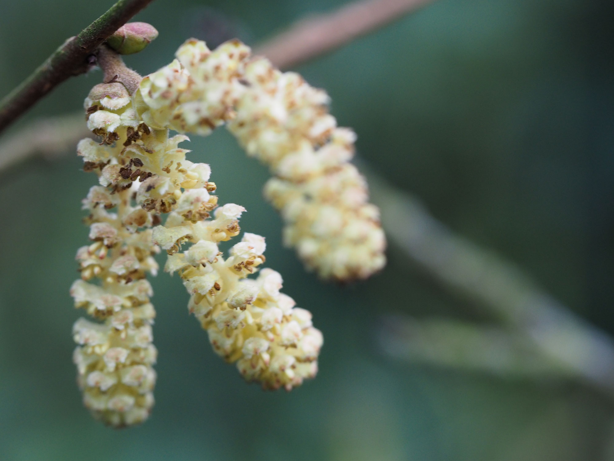 Impressionen im Februar