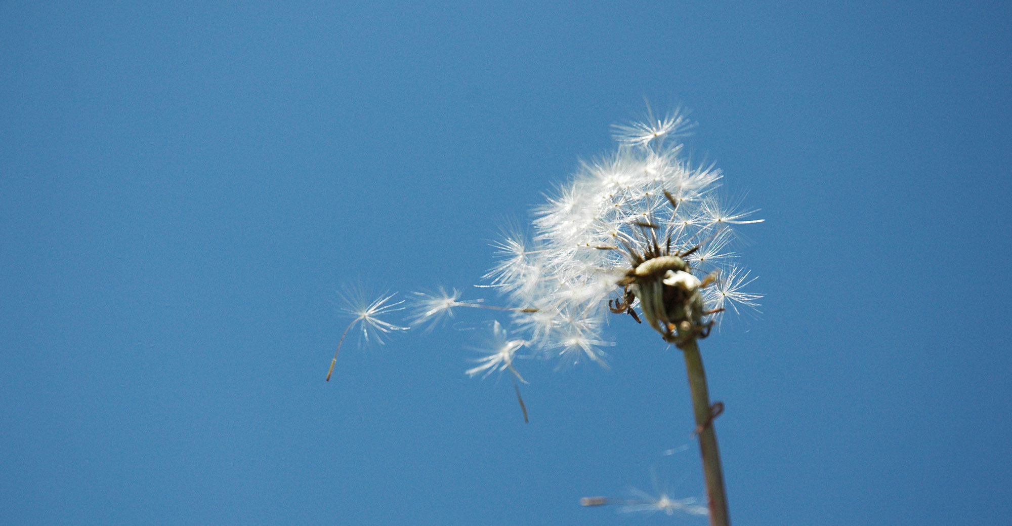 Wind Andrea Gärtner