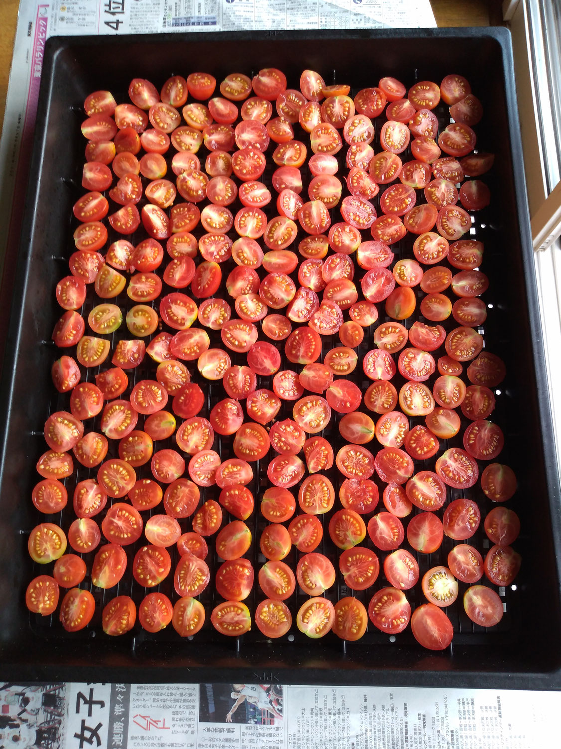 クッキングトマトを楽しむ