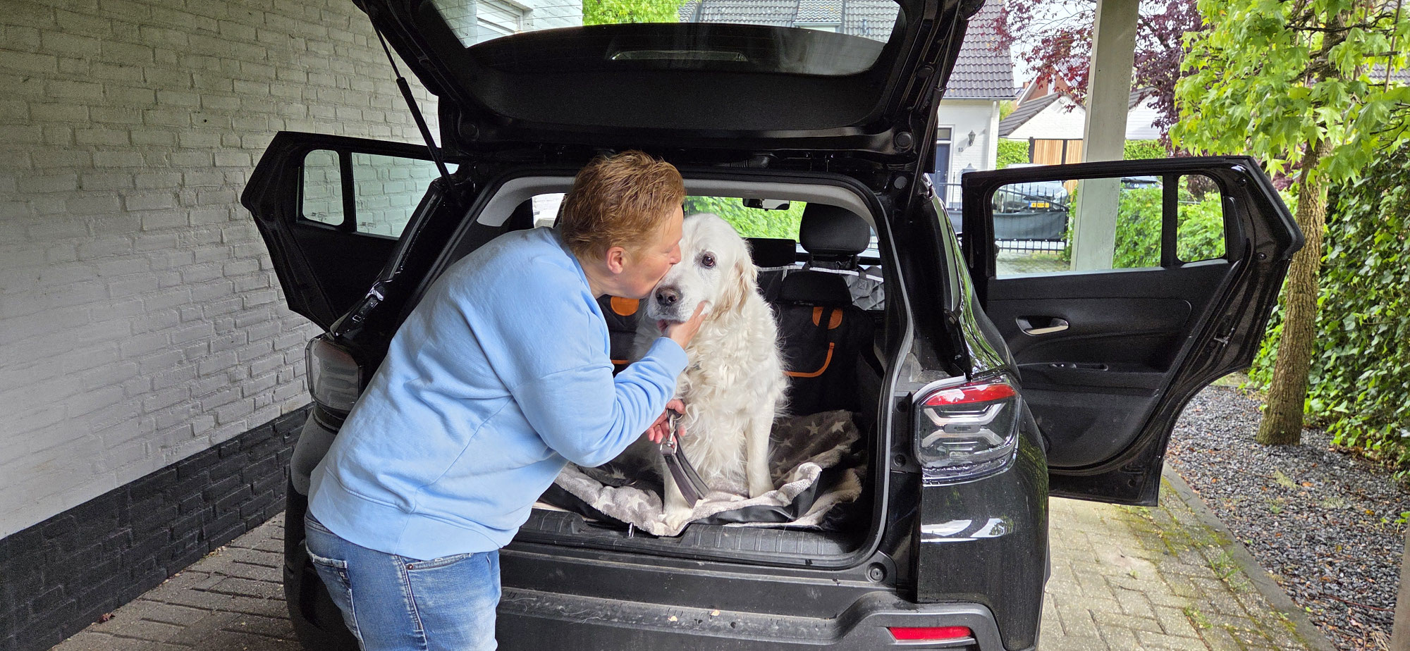 Op vakantie met 3 honden. Een avontuur op zich