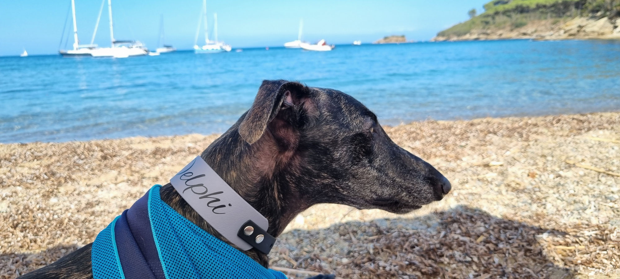 Op vakantie met honden. De voorbereiding begint niet bij het inpakken