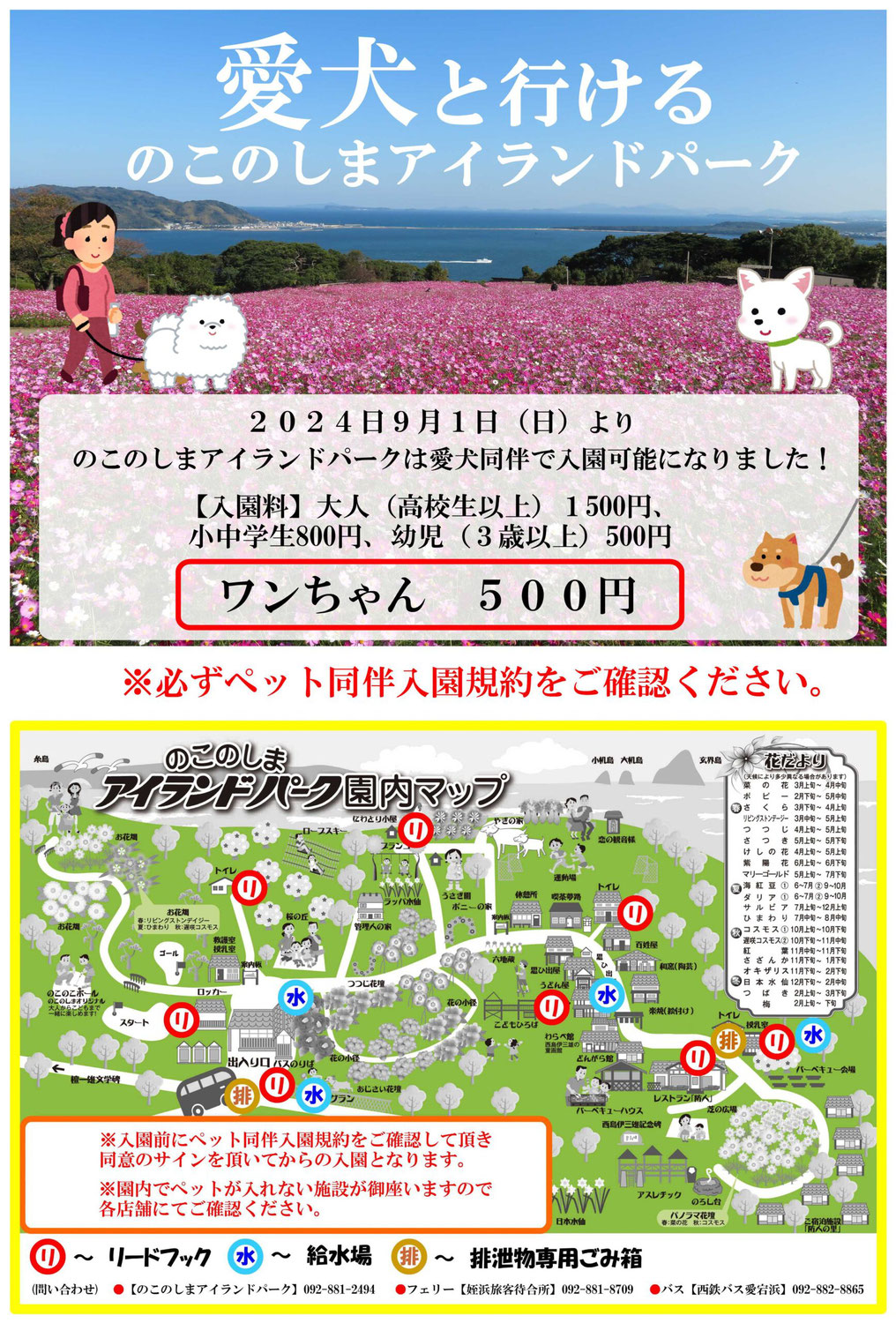 9/1よりのこのしまアイランドパークでは愛犬との入場が可能になります♪