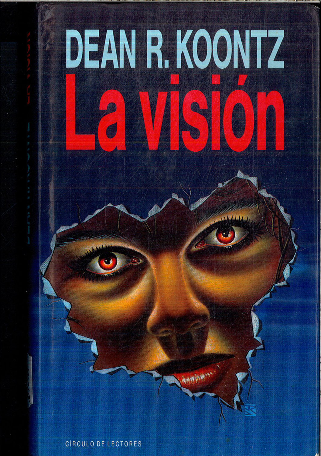 La visión