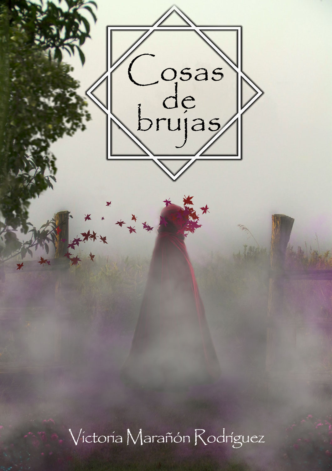 Cosas de brujas por Coos Burton