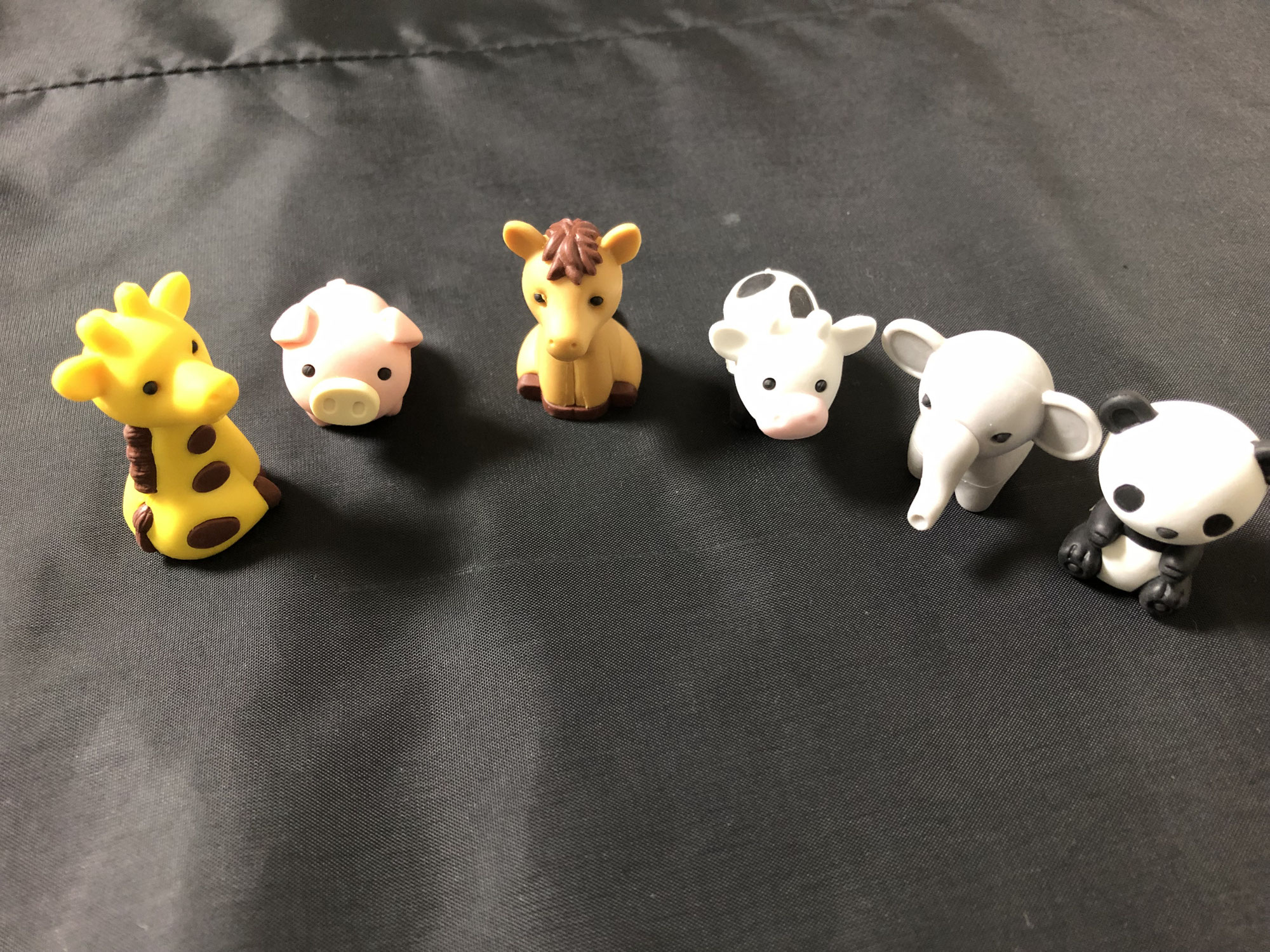 秋募集始まります♪