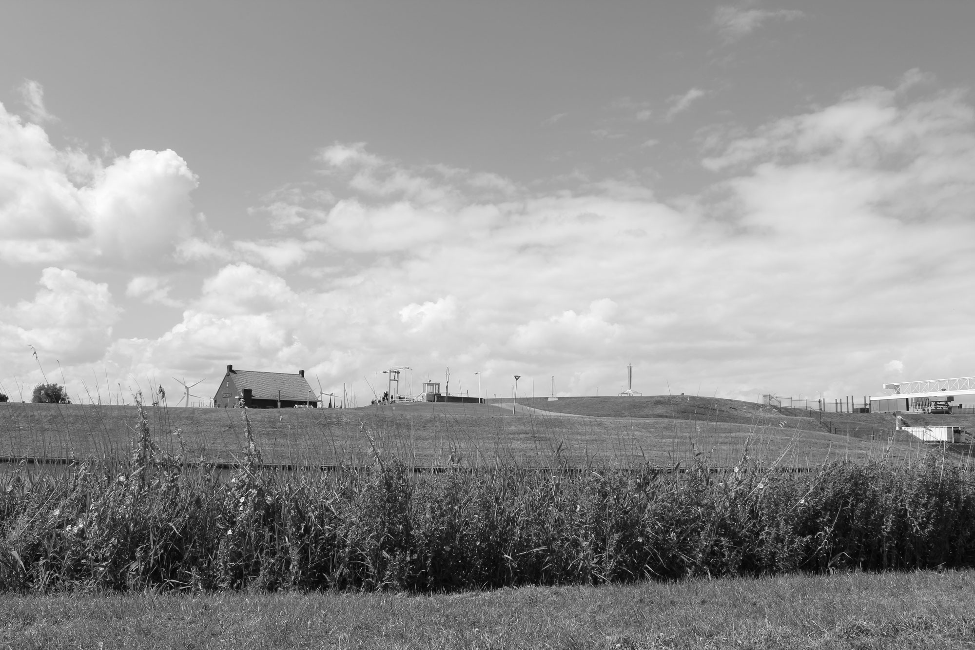 A Fishy Trip (Visje Kopen)