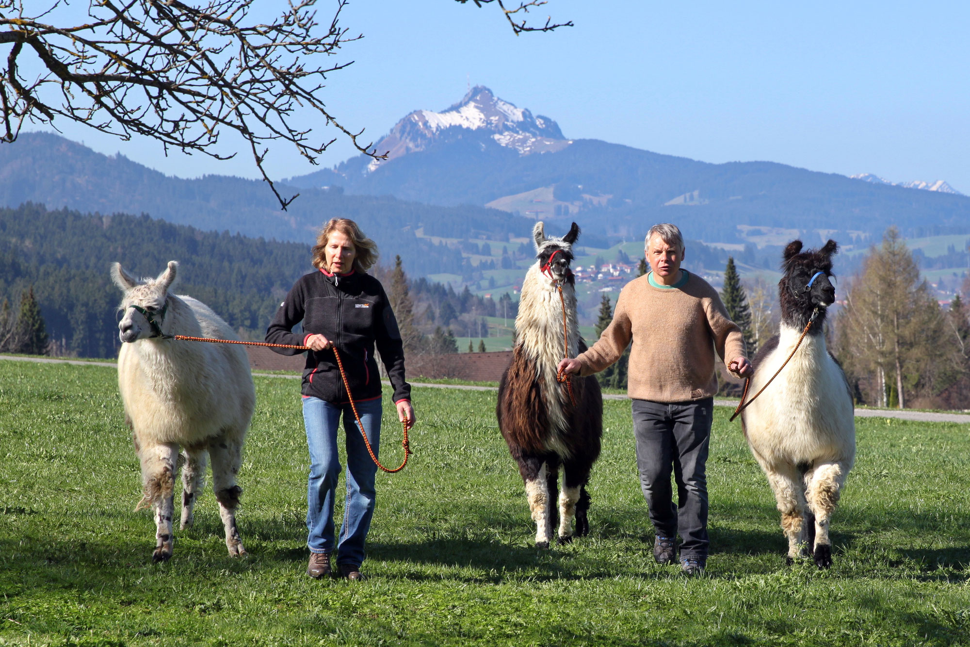 nesselwang - lamahofs Webseite!