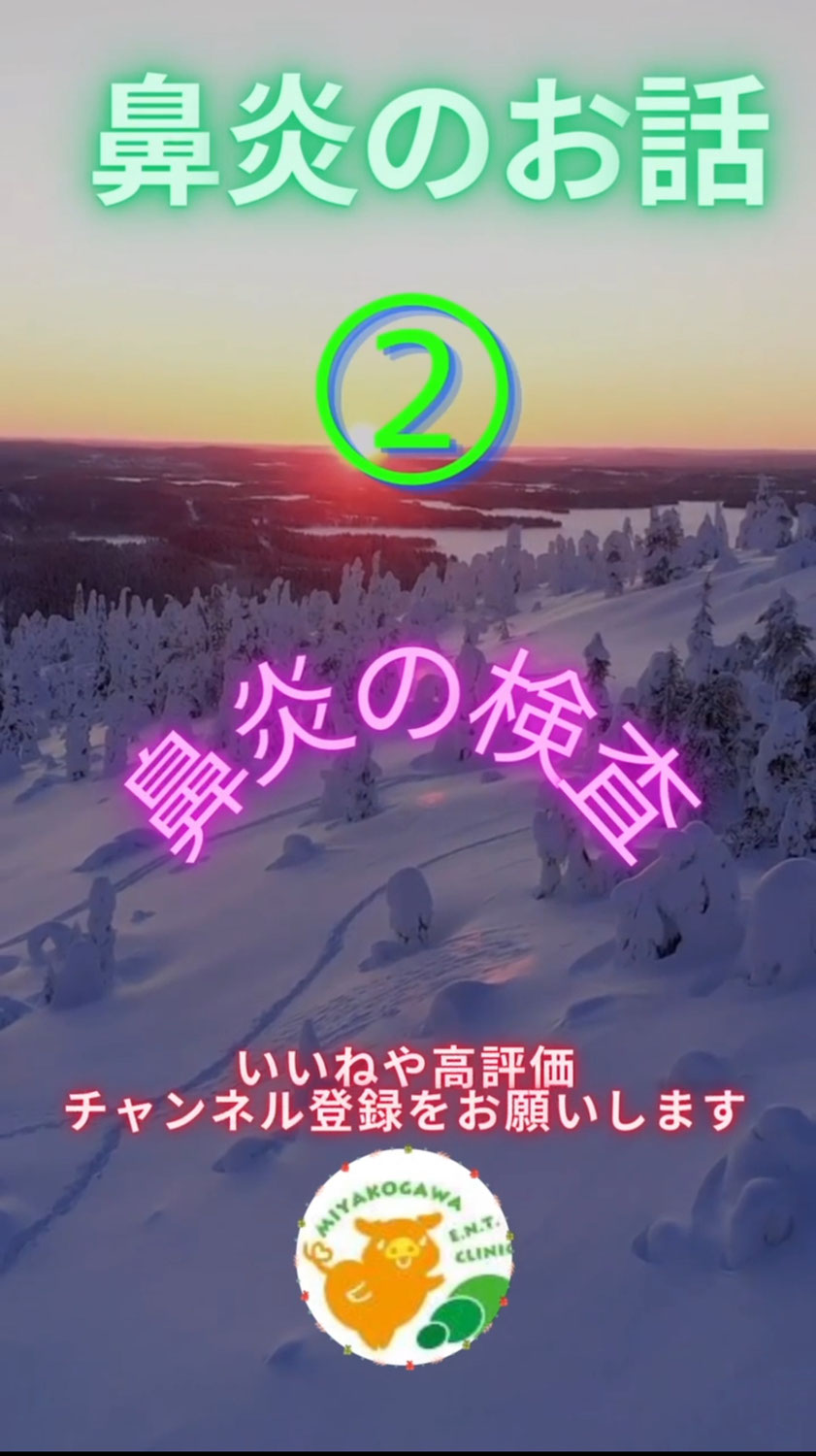 鼻炎の検査（鼻炎シリーズ２）