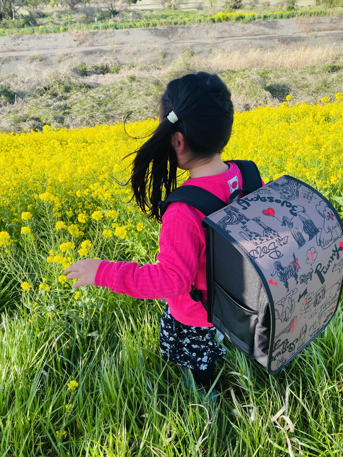 ５月のスケジュール
