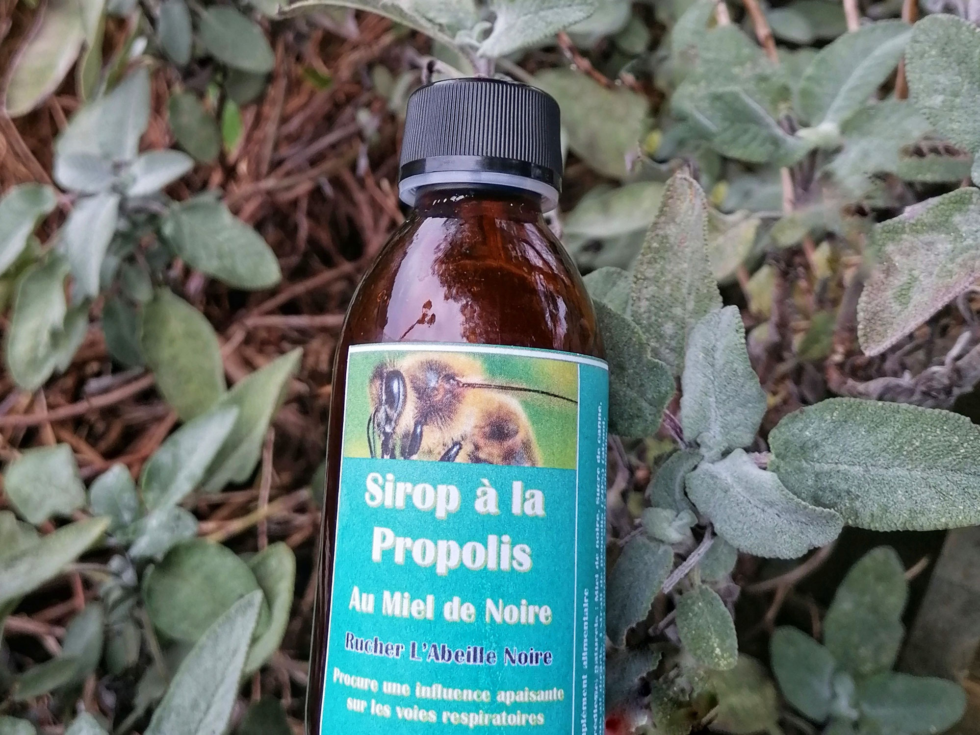 Salvia officinalis dans le sirop à la propolis ; L'Abeille Noire