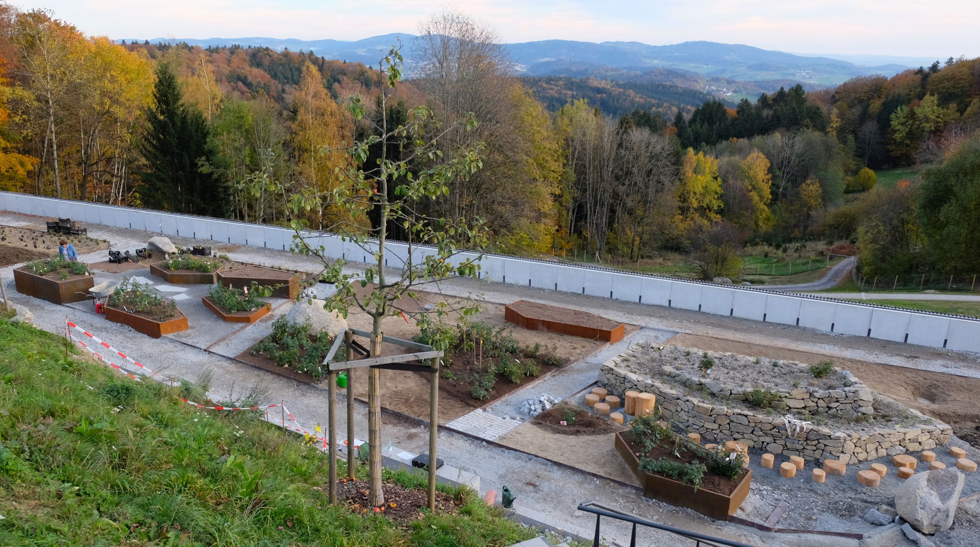 Rosen auf der Landesgartenschau Freyung 2023