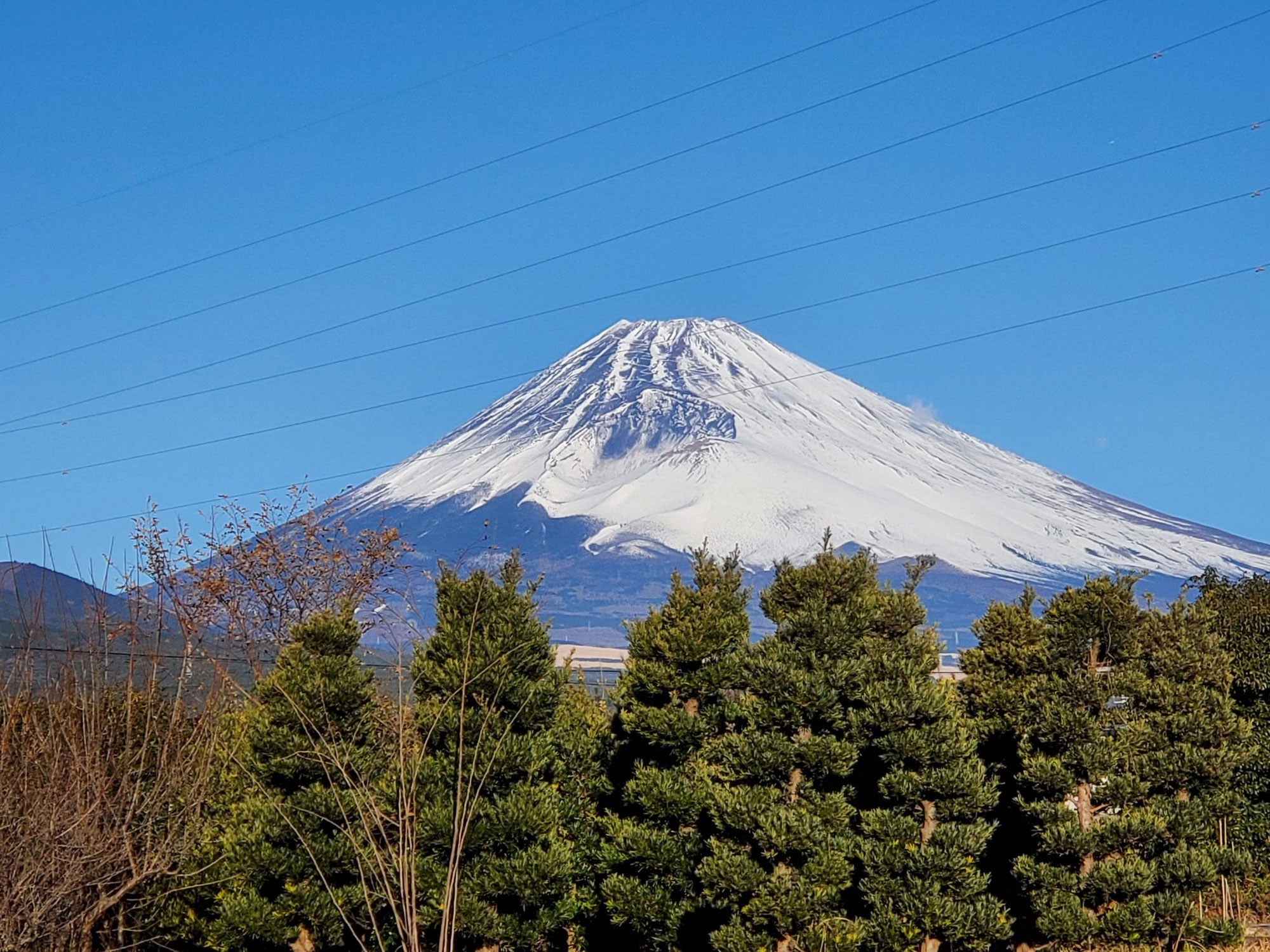 本日より仕事始めです。2023年、令和5年もよろしくお願いいたします