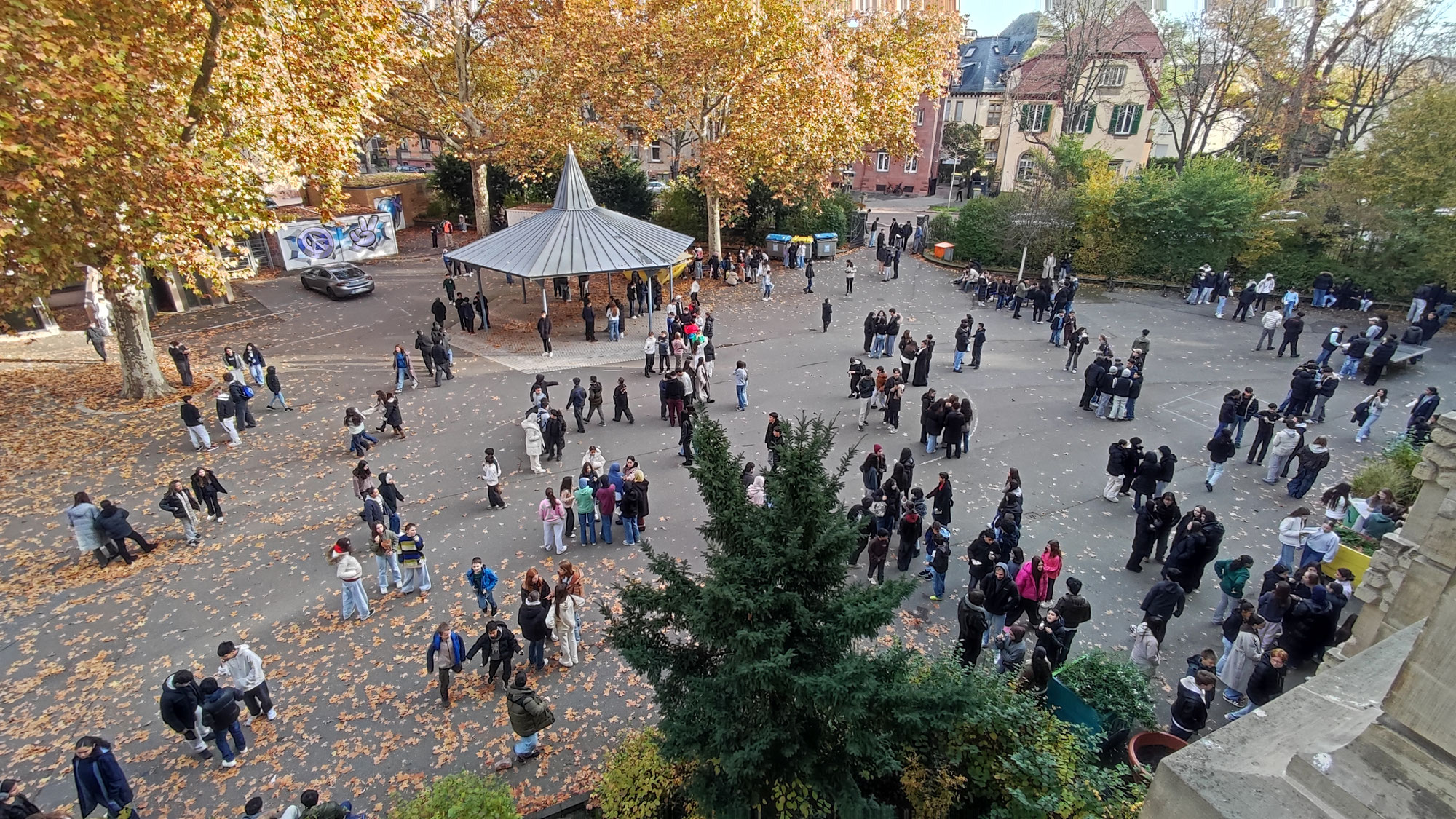Informationen zu Handyregeln an Schulen
