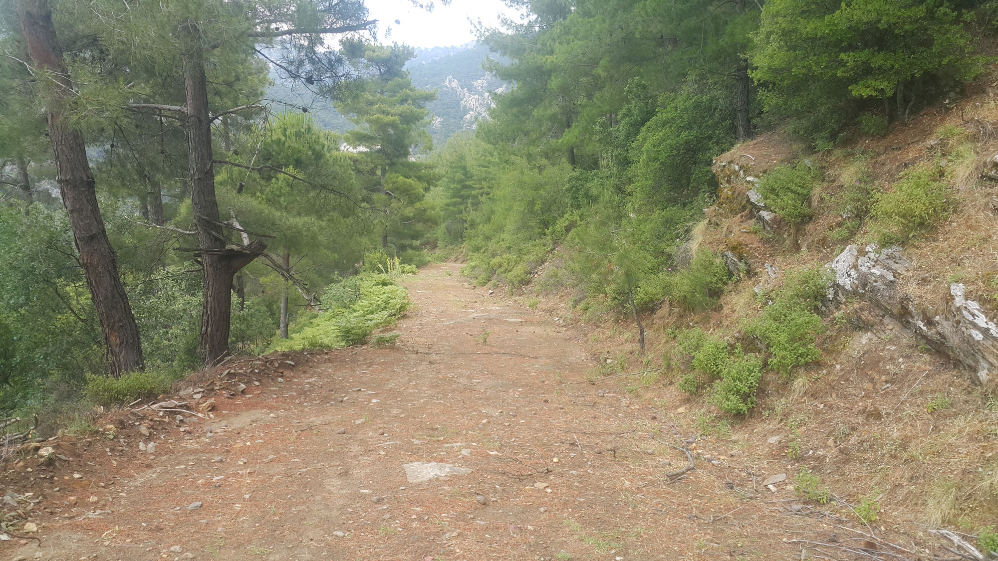 To Hike The Carian Trail