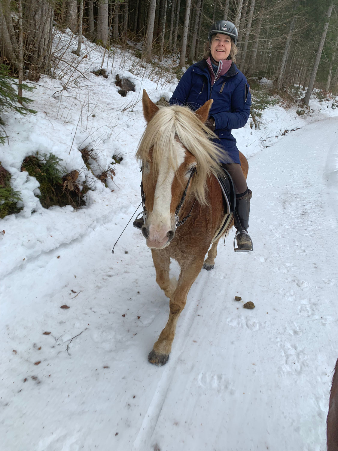 Reitest du ab und zu auf einem fremden Pferd?