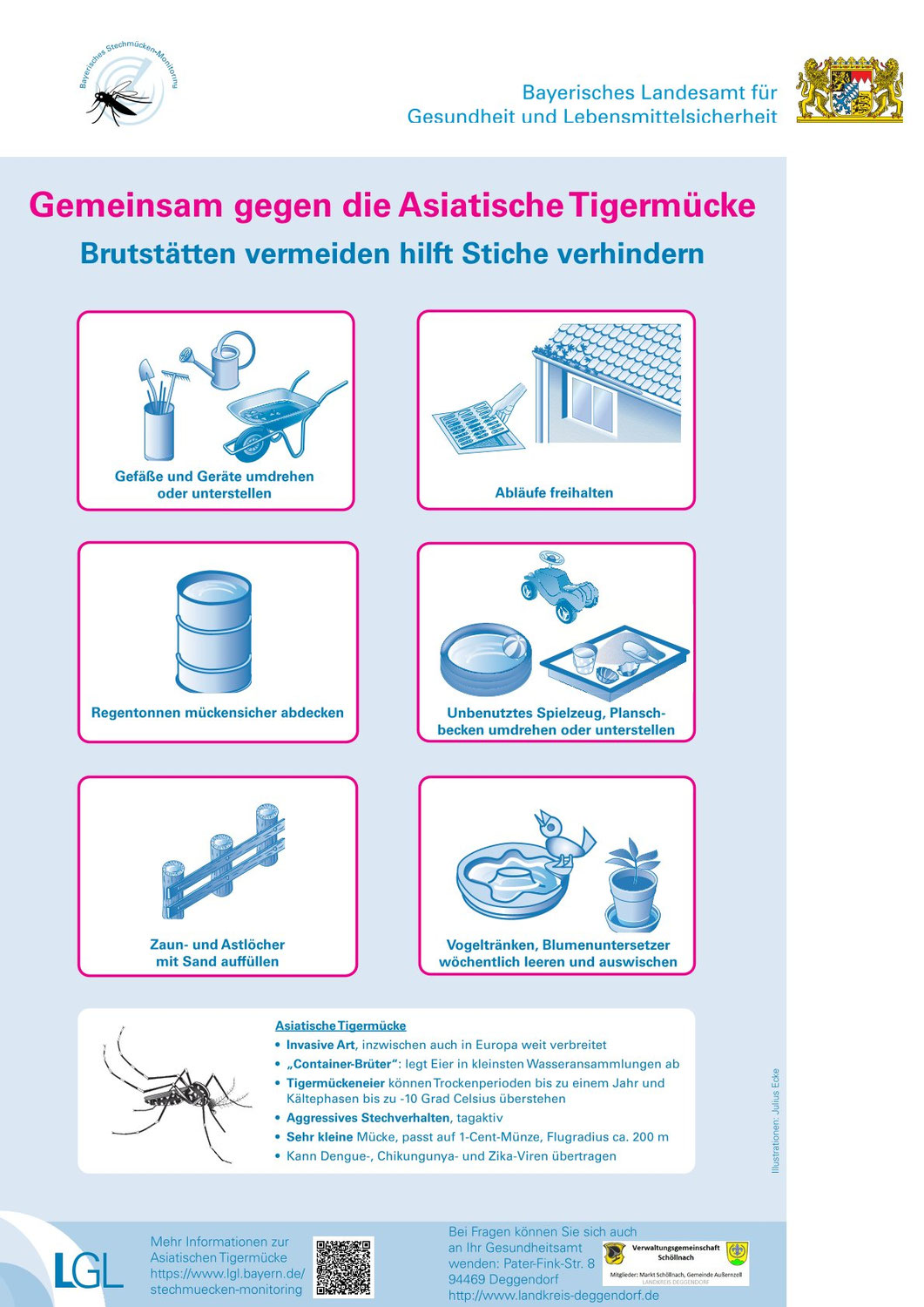 Gemeinsam gegen die Asiatische Tigermücke
