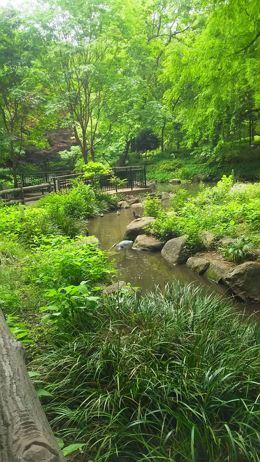 引用: 不動さつき保育園