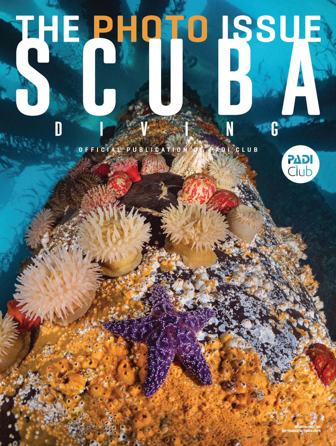 Pressebericht SCUBA Diving